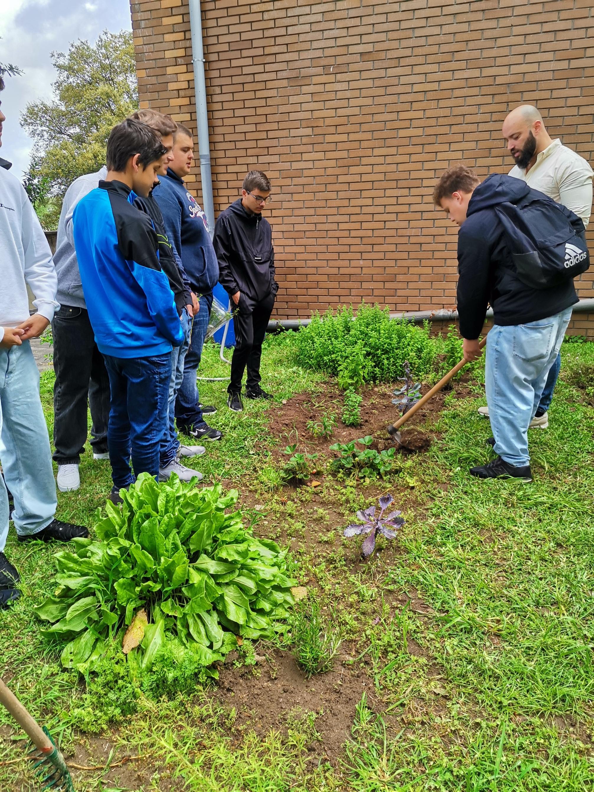 Trabalhos de plantação e manutenção da horta
