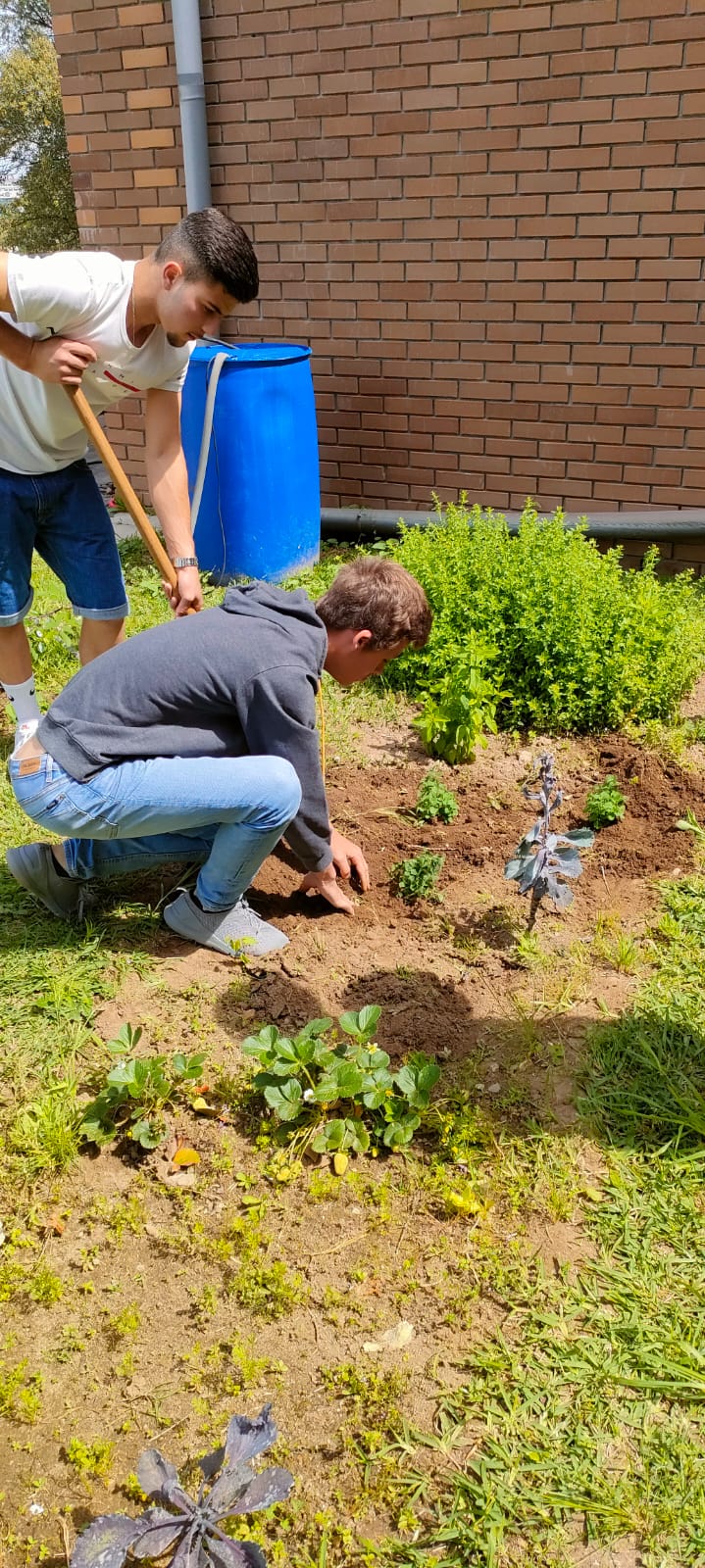 Trabalhos de plantação e manutenção da horta