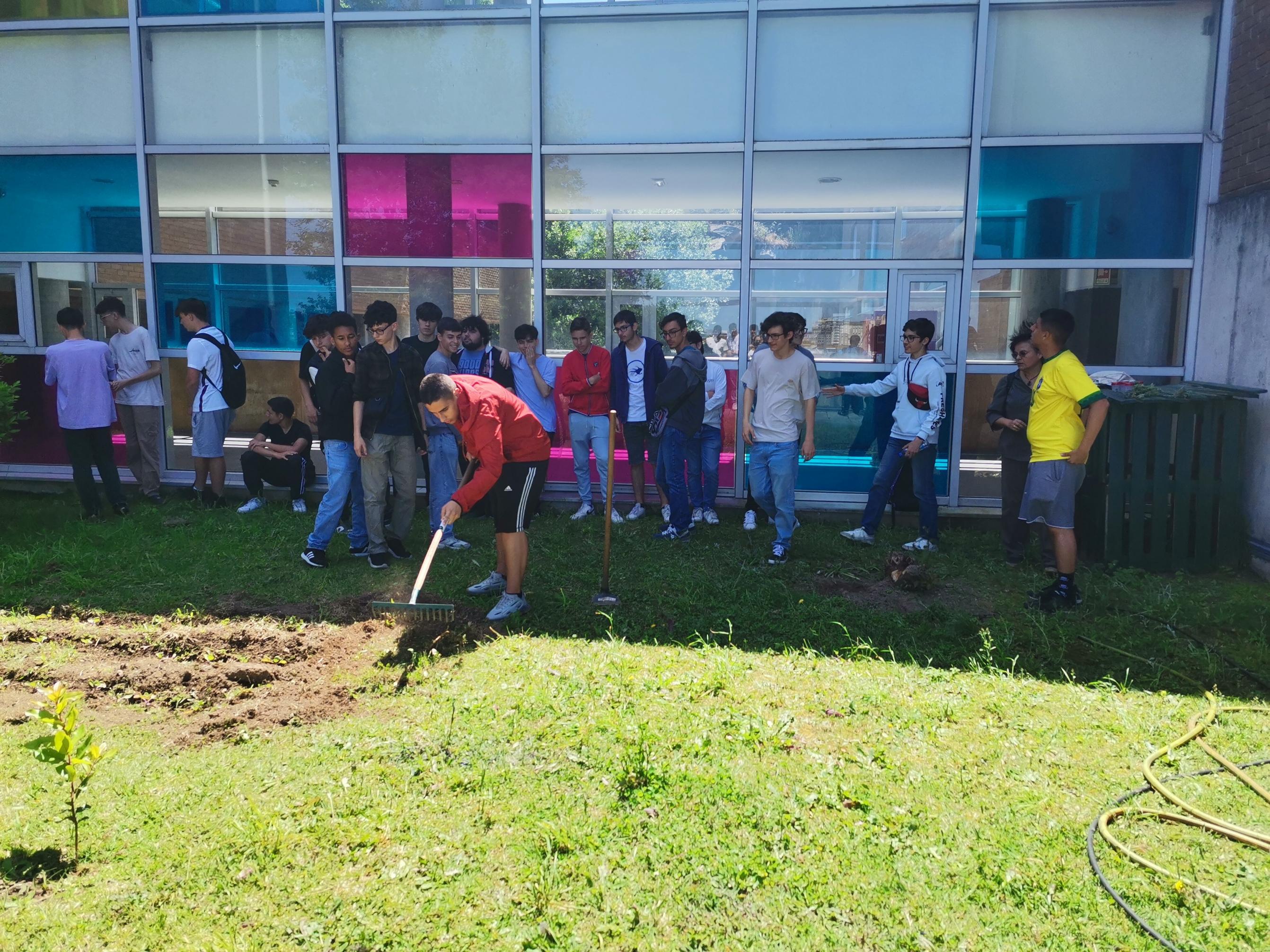 Trabalhos de plantação e manutenção da horta