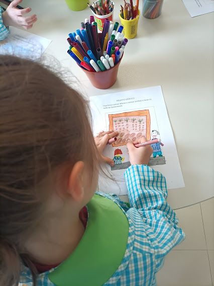 Elaboração de registos gráficos individuais.