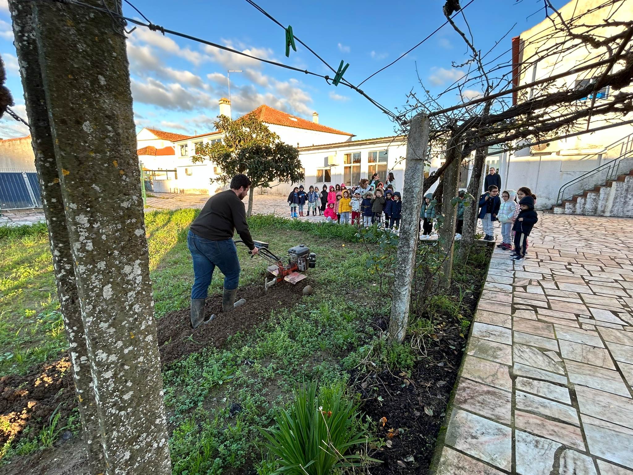 Tratamento da terra