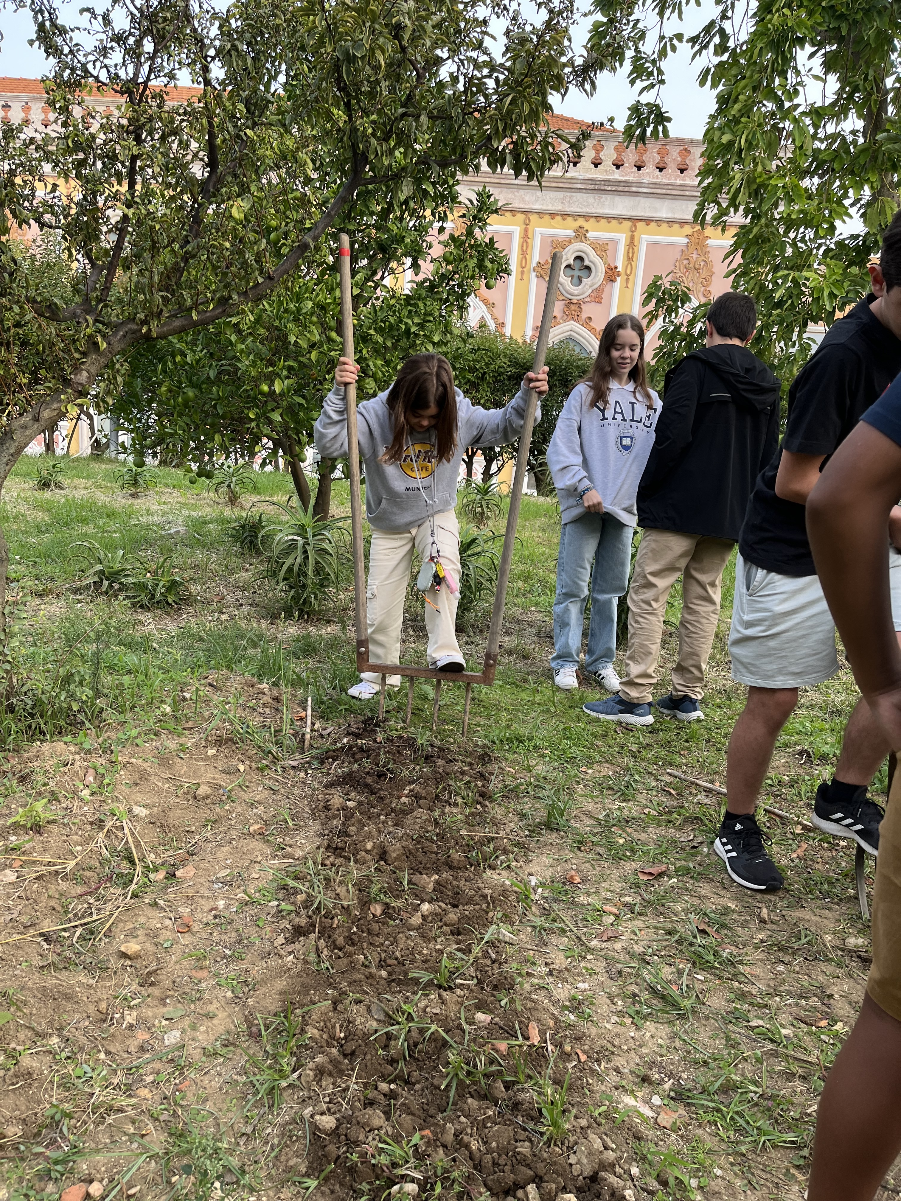 Os alunos do 8º ano fizeram o trabalho mais pesado, a preparação do solo.