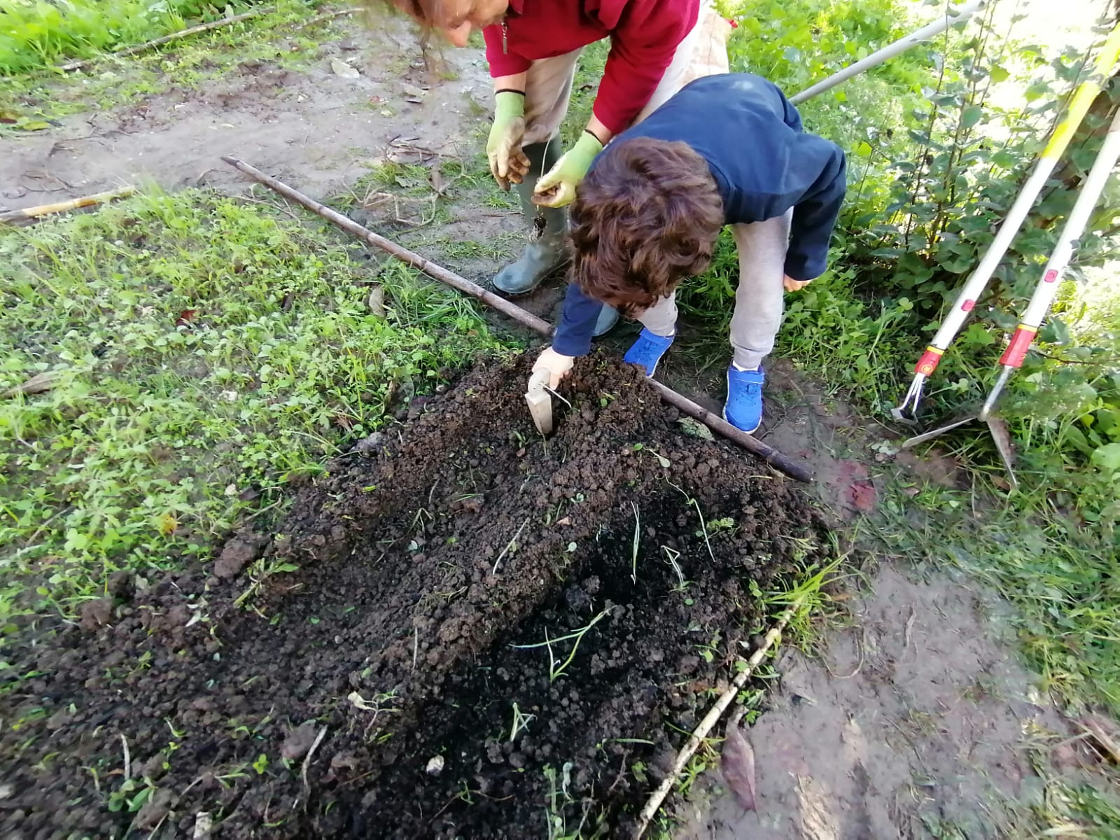 Os alunos do 1º ciclo foram responsáveis pelo transplante para o terreno da horta.