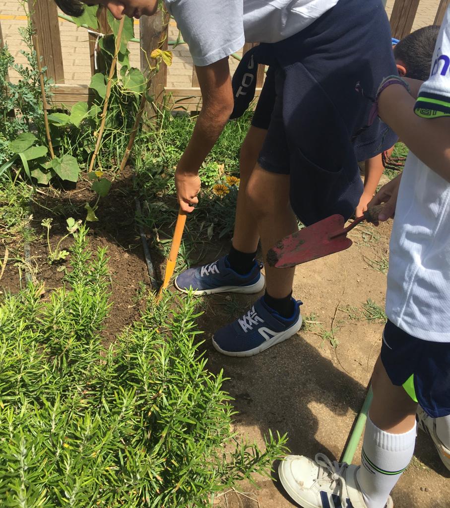 Os alunos cavaram e mondaram os diferentes espaços da horta.