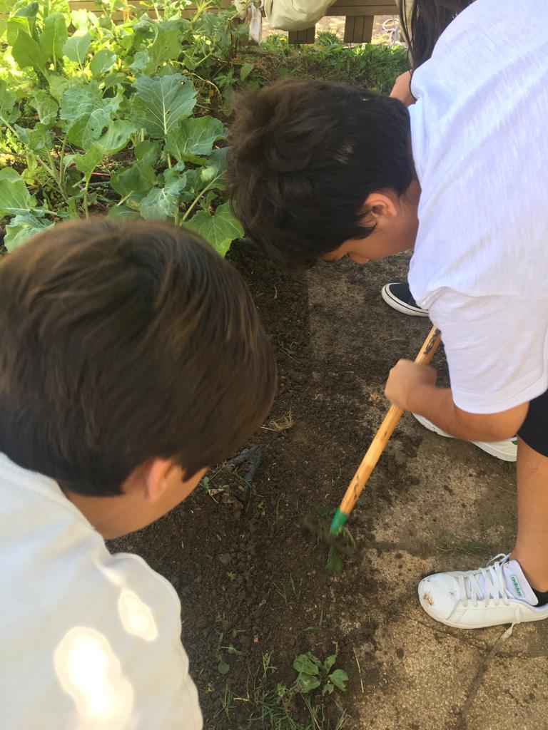 Aulas na nossa horta da escola.
Os alunos cavaram e mondaram os diferentes espaços da horta.