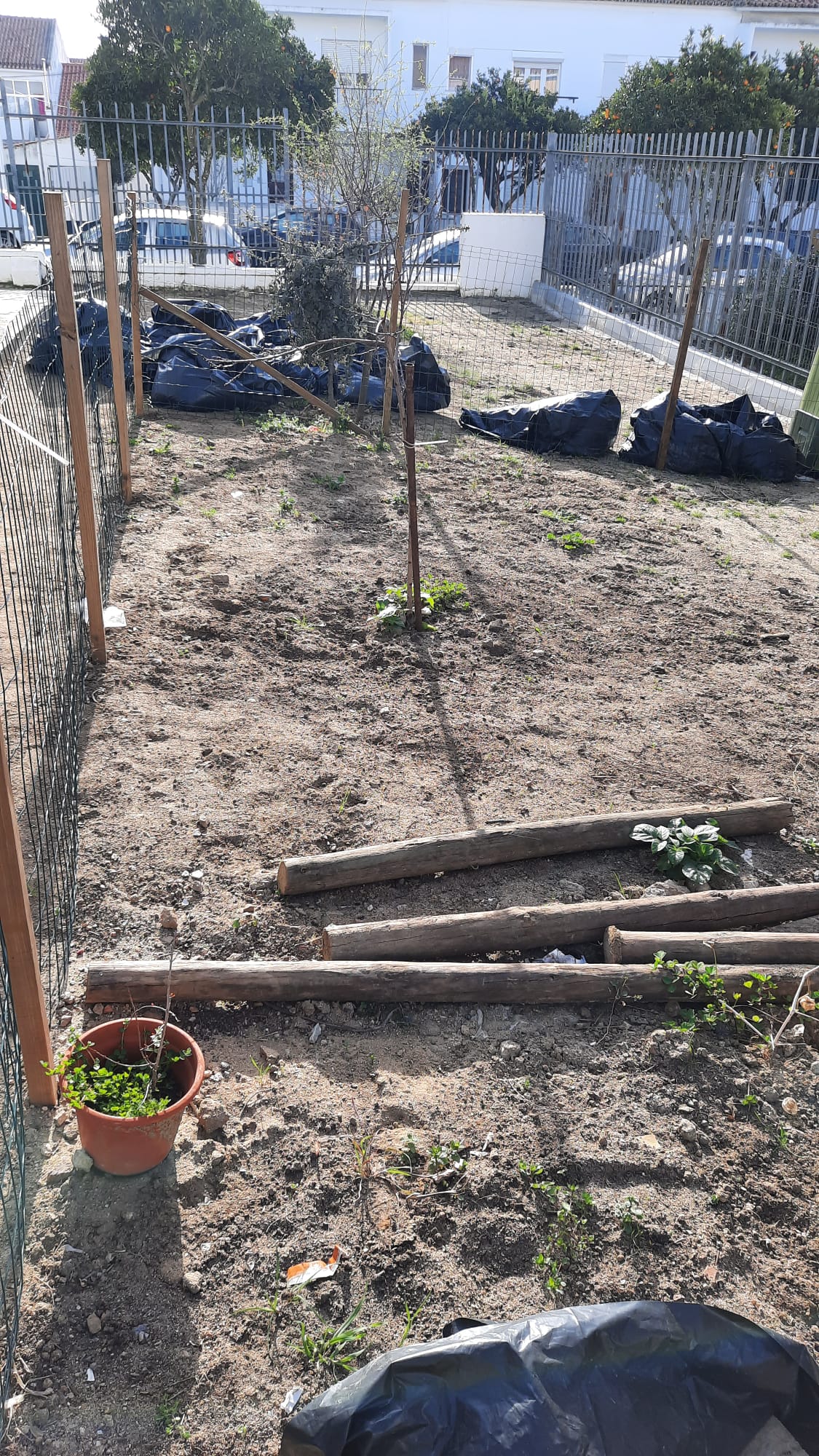 O espaço da horta foi dividido para cada turma e para cada espécie a cultivar.