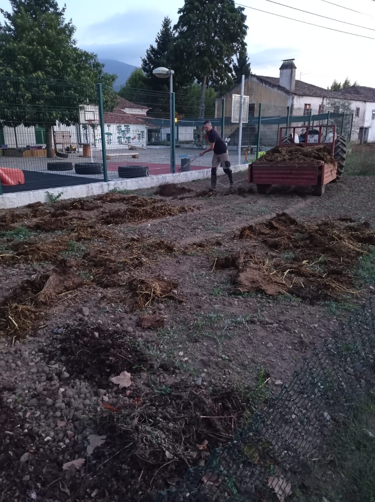 Colaboração de um encarregado de educação na preparação da terra da nossa Horta Bio. Utilizou estrume dos seus animais como fertilizante, lavrando de seguida todo o terreno.