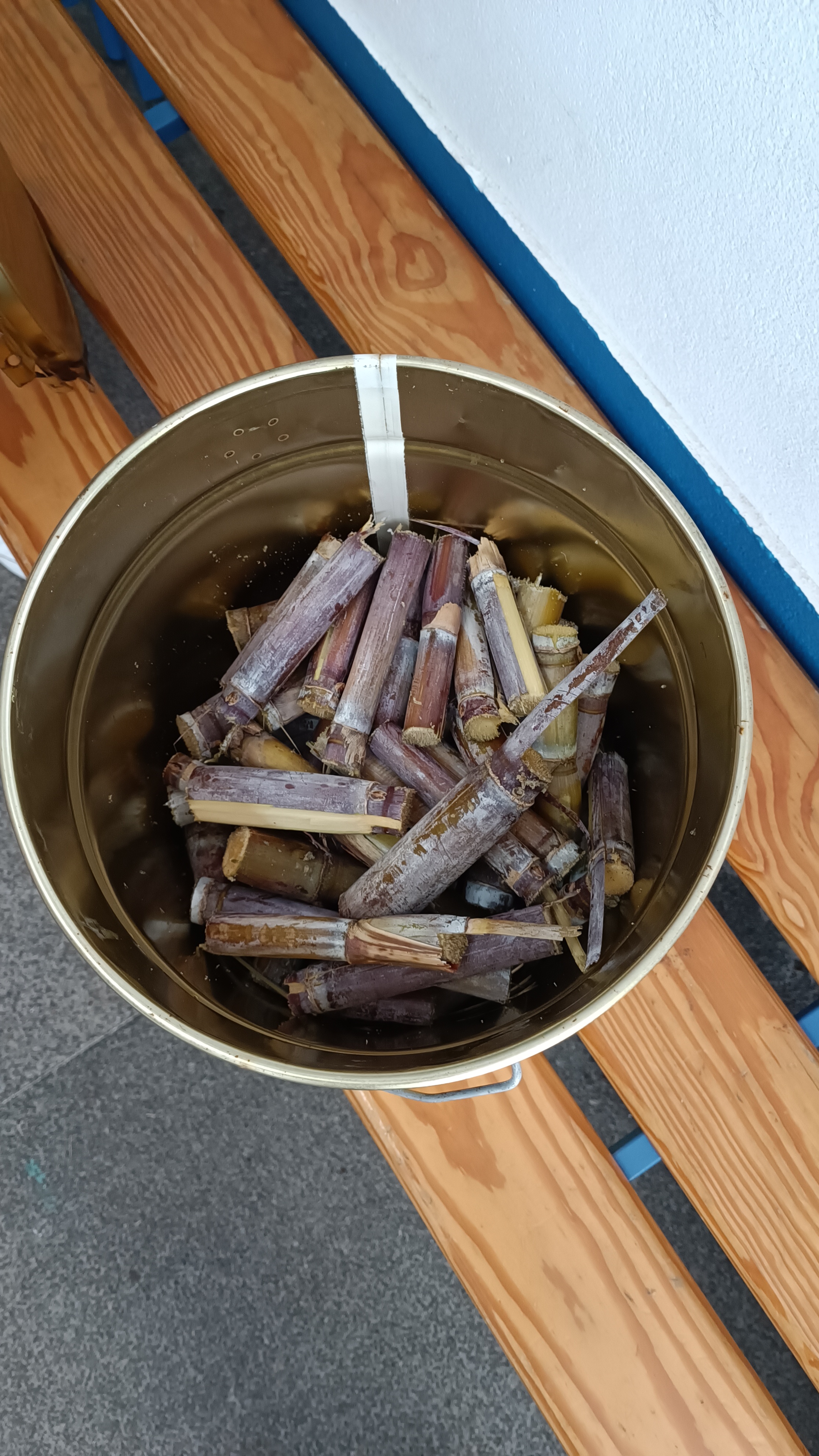 Preparação das canas-de-açúcar para serem saboreadas pelos alunos na cantina da escola, na hora do almoço.