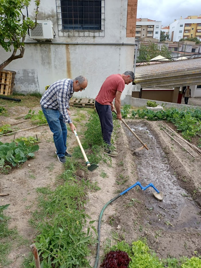 Vários alunos de turmas diferentes colaboraram nas tarefas da horta e, claro, também professores. Além do professor de Geografia responsável pelo projeto, também houve a participação de docentes de Filosofia, Matemática e Educação Física.