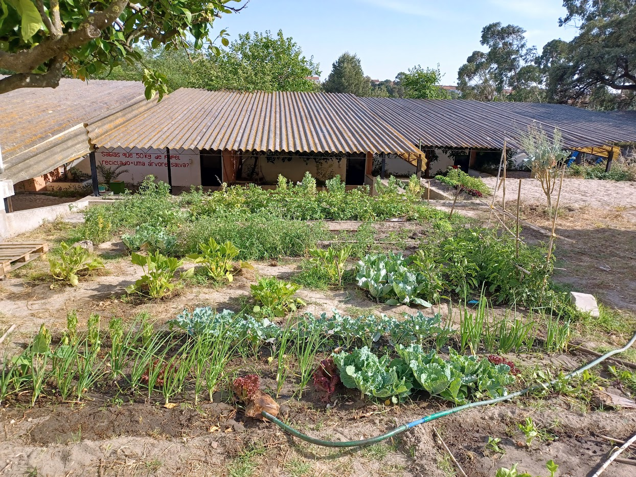 Em meados de maio, era este o aspeto geral da "Horta para Todos!", um projeto de voluntariado concebido para criar uma horta biológica destinada a produzir hortícolas para apoiar famílias desfavorecidas. Fomos premiados pela Fundação AMI!