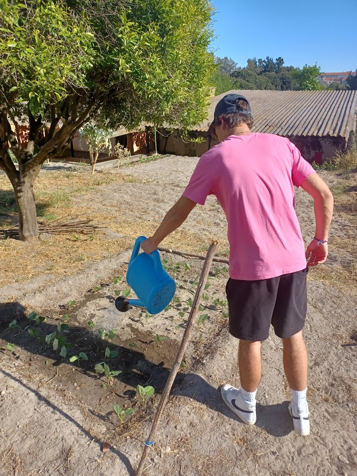 No regresso às aulas, no 3ºPeríodo, a falta de precipitação começa a aumentar o recurso à rega e as temperaturas altas para a época dificultam a expansão da horta, com novos cultivos.