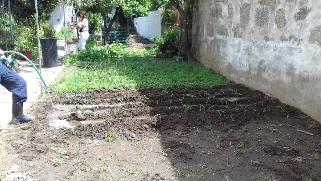 Rega das Horticolas