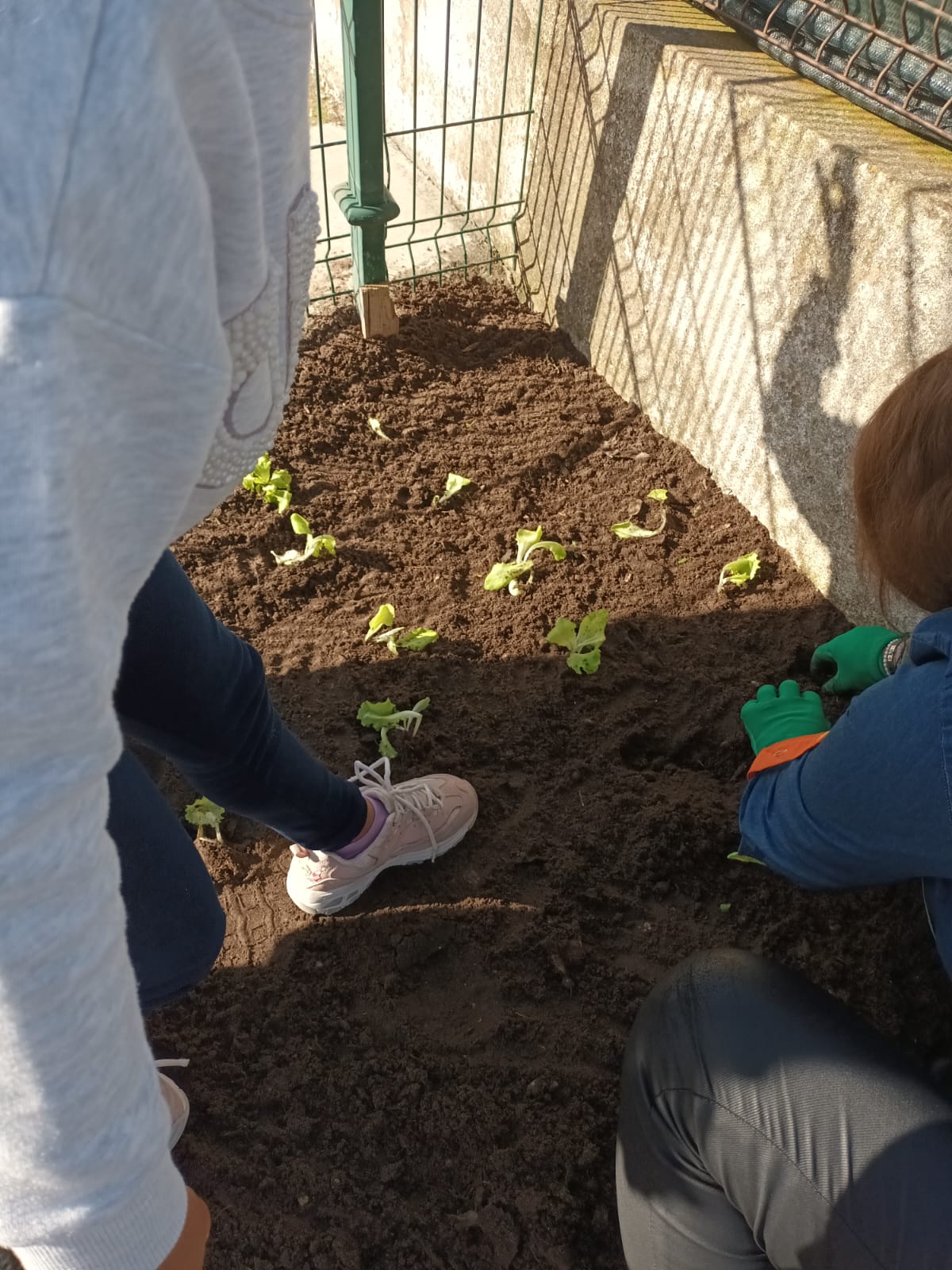 Preparação do terreno