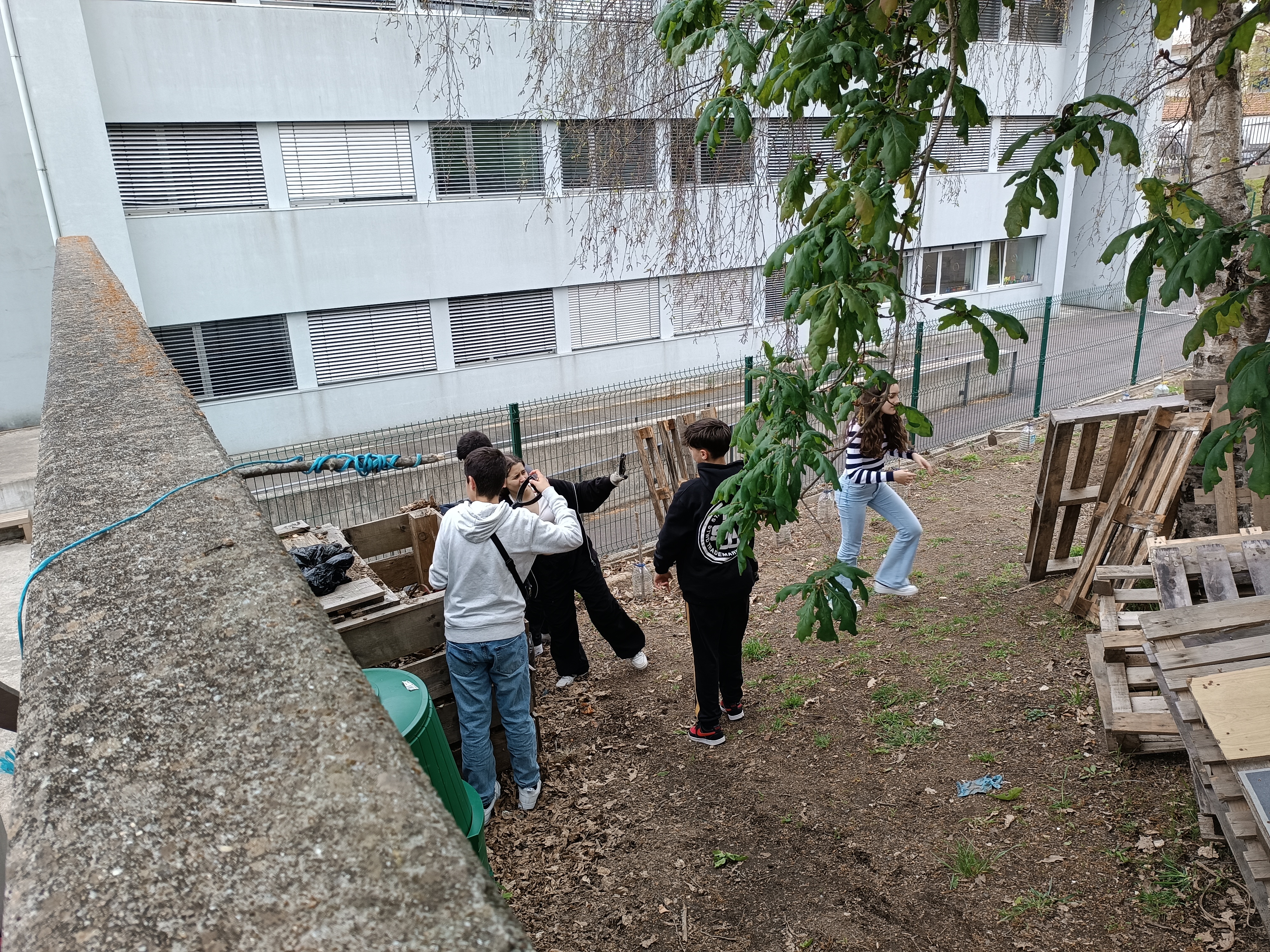Alunos a colocarem os resíduos da horta no compostor.