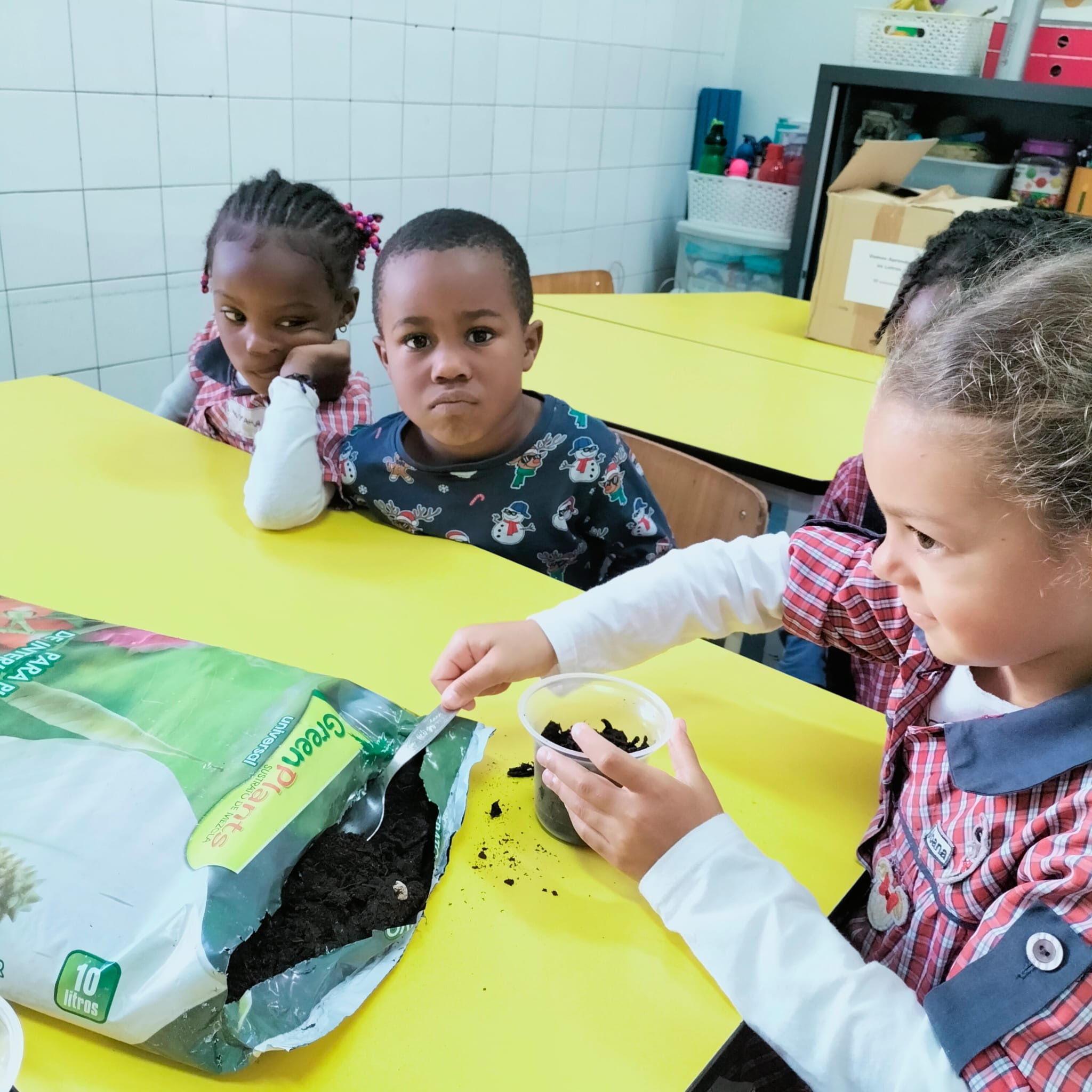 iniciação da plantação de cactos com alguns meninos