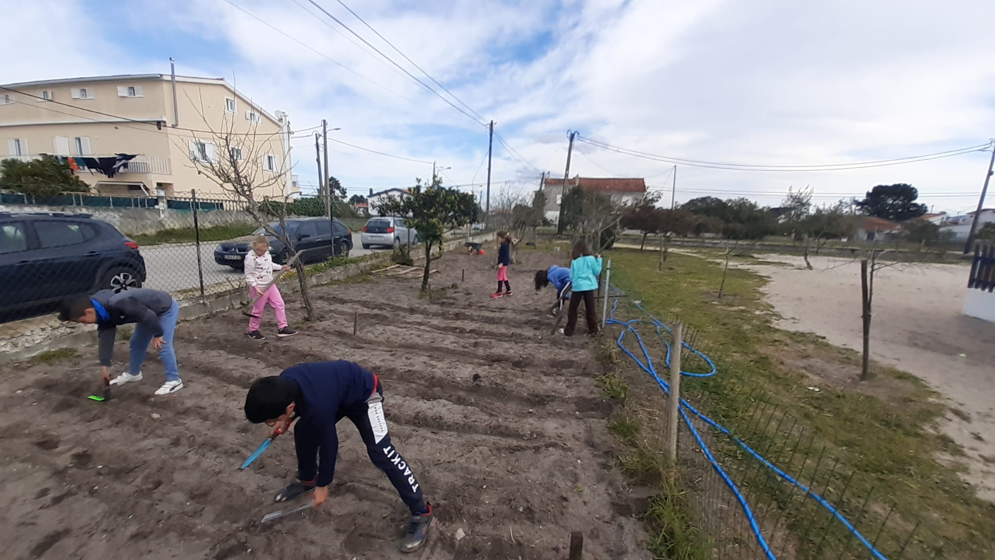 Fotografia n.º3  - Divisão do espaço da horta e colocação de estacas para marcar com ajuda de uma encarregada de educação I