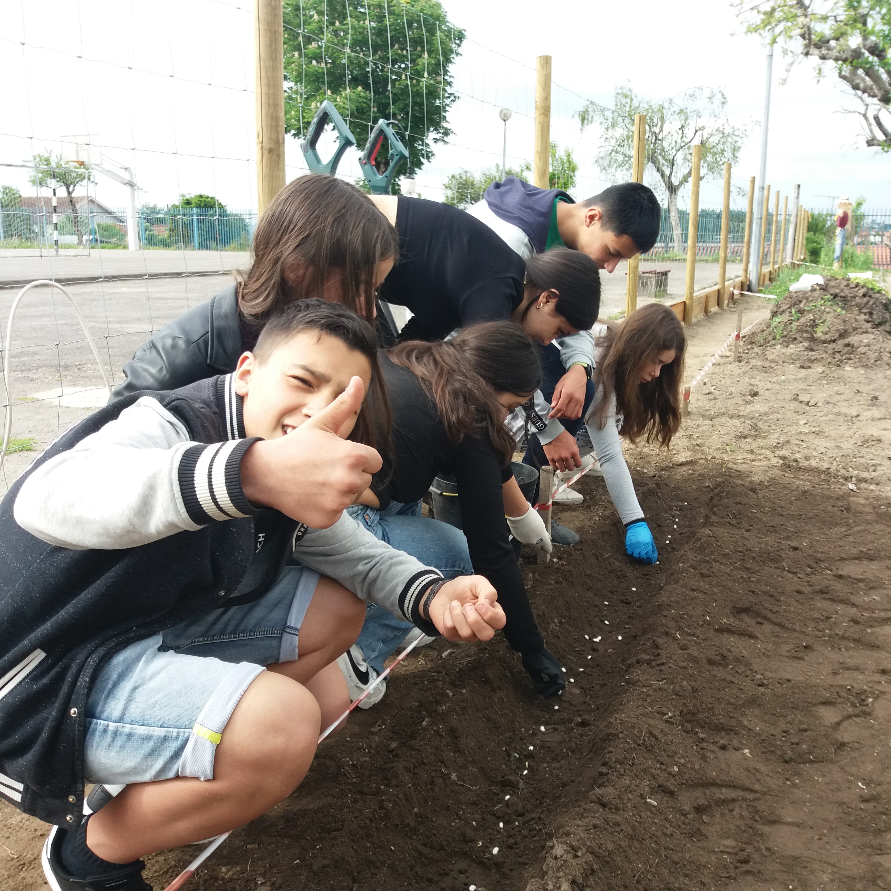Alunos do Projeto Eco-Escolas a semear feijão.verde.