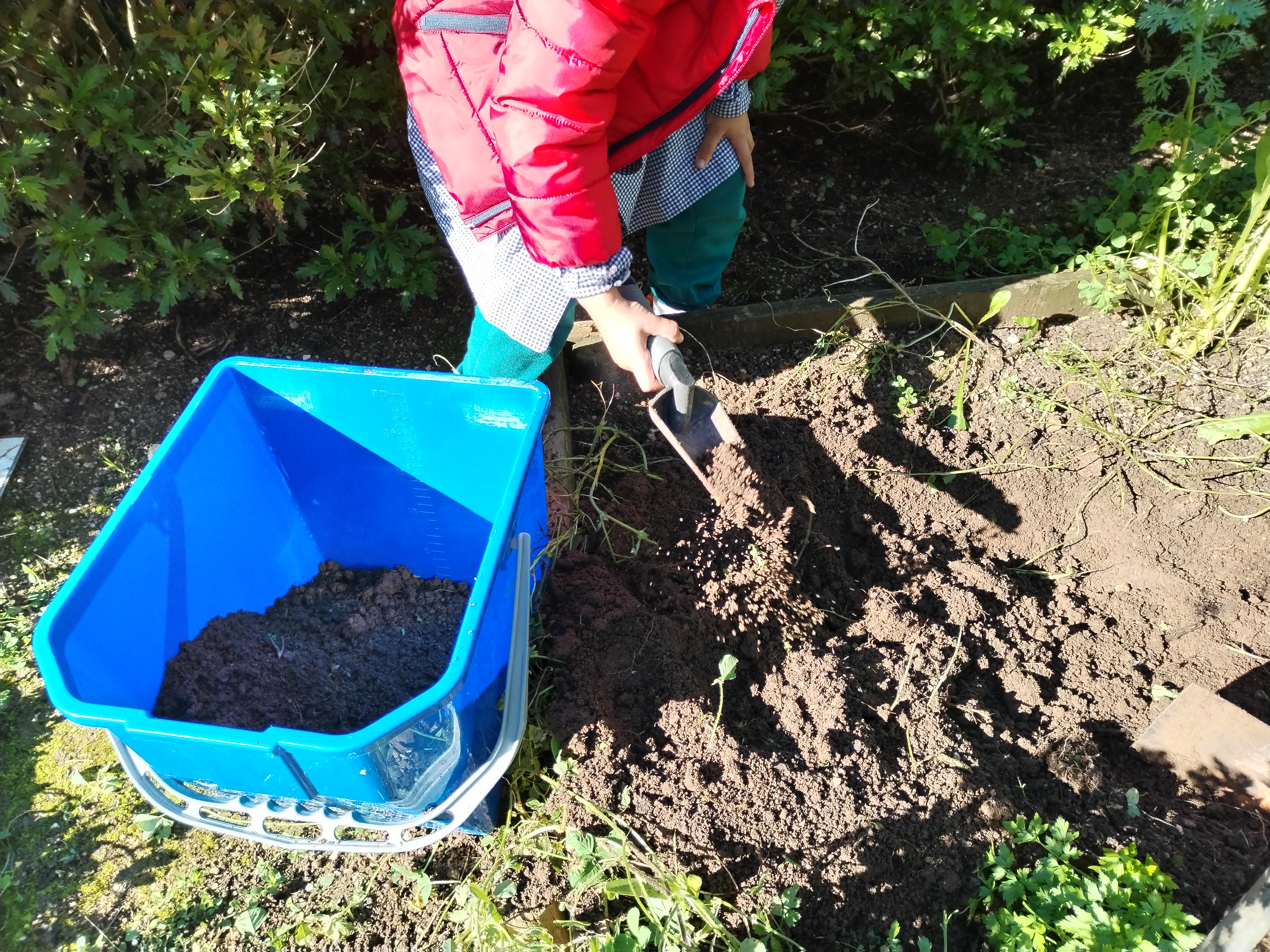 Limpeza e preparação do terreno para a horta.