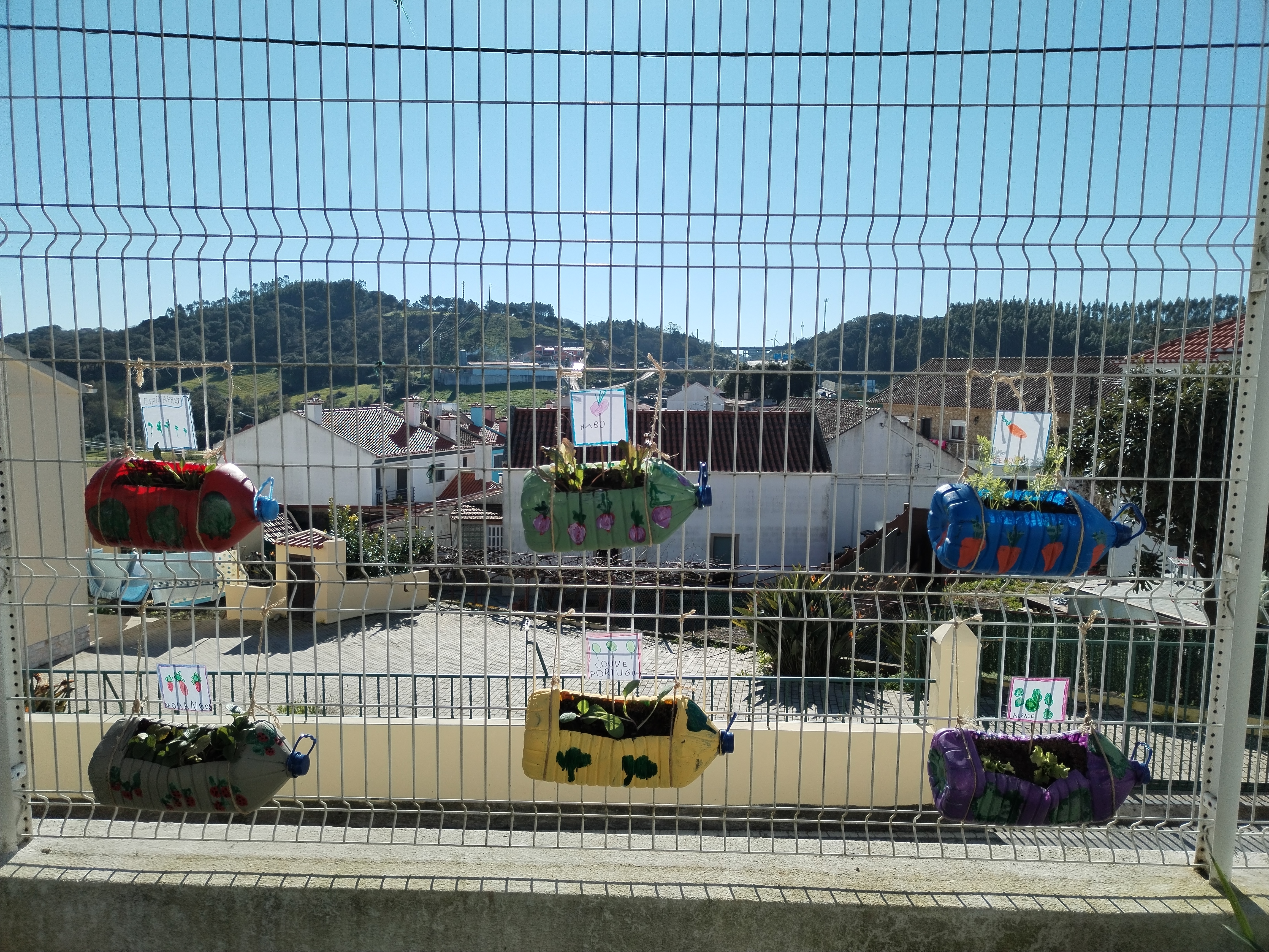 Agora, é cuidar e ver crescer.
