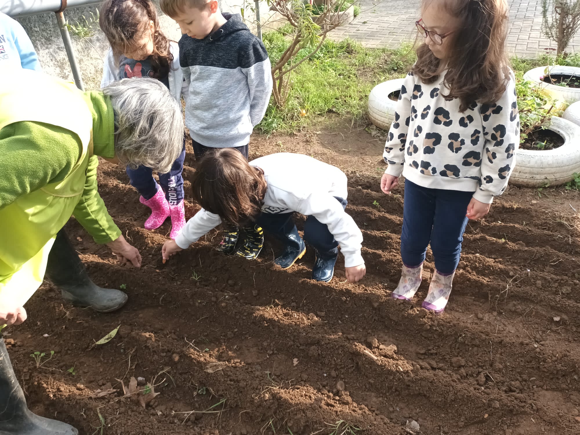 Plantação das sementeiras e plantas