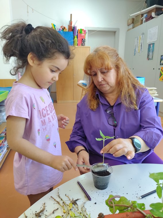 Germinação das plantas