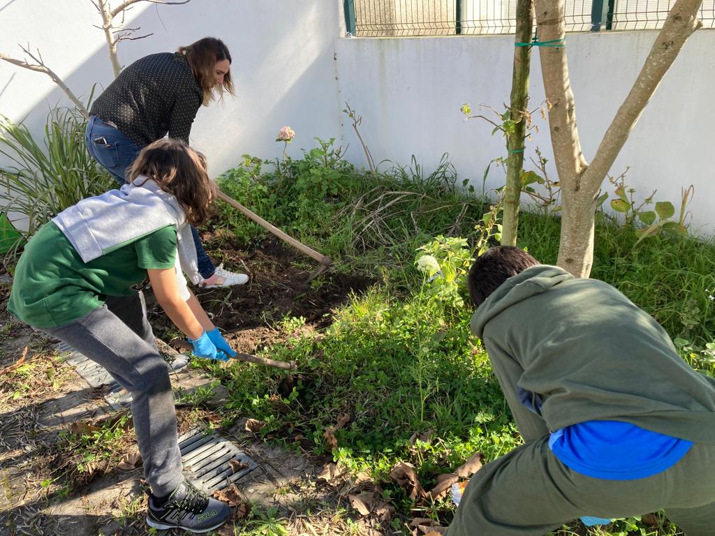 É  preciso arrancar as ervas daninhas e remexar/arejar a terra.