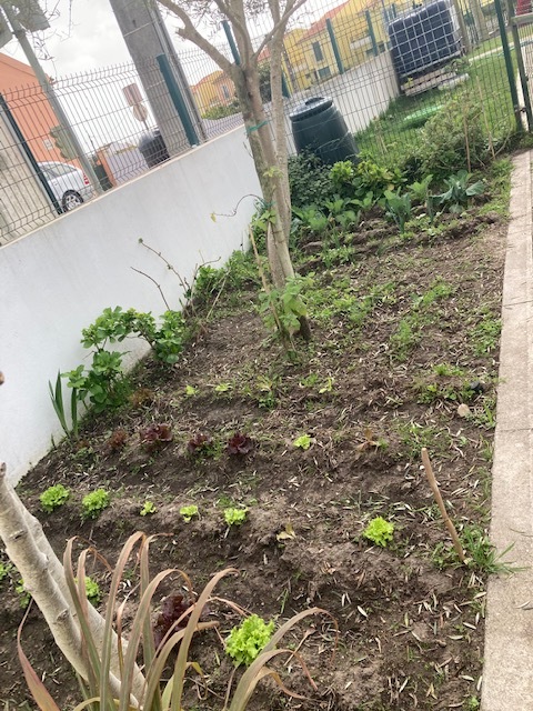 A nossa pequena horta vai ganhando cor e crescendo com o amor e a dedicação que os nossos bioagricultores lhe colocam diariamente.