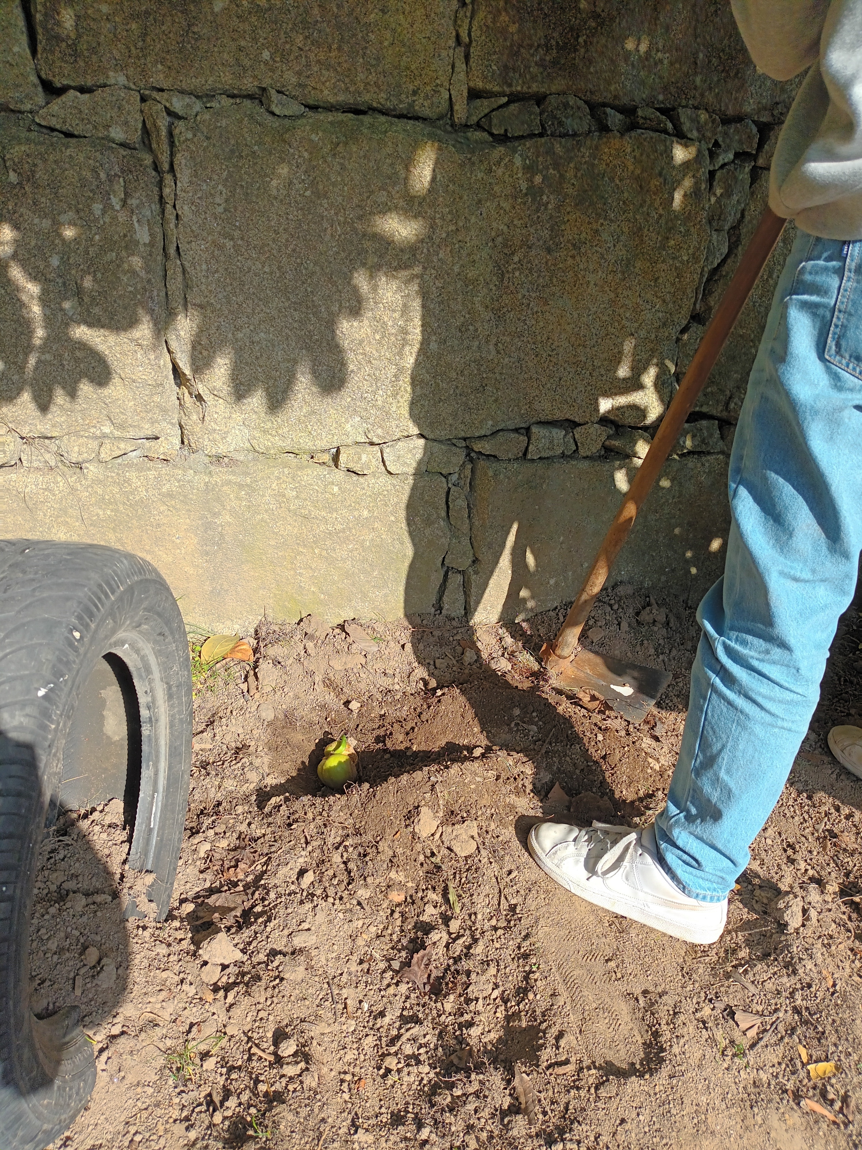 Trabalhos de preparação da Terra.