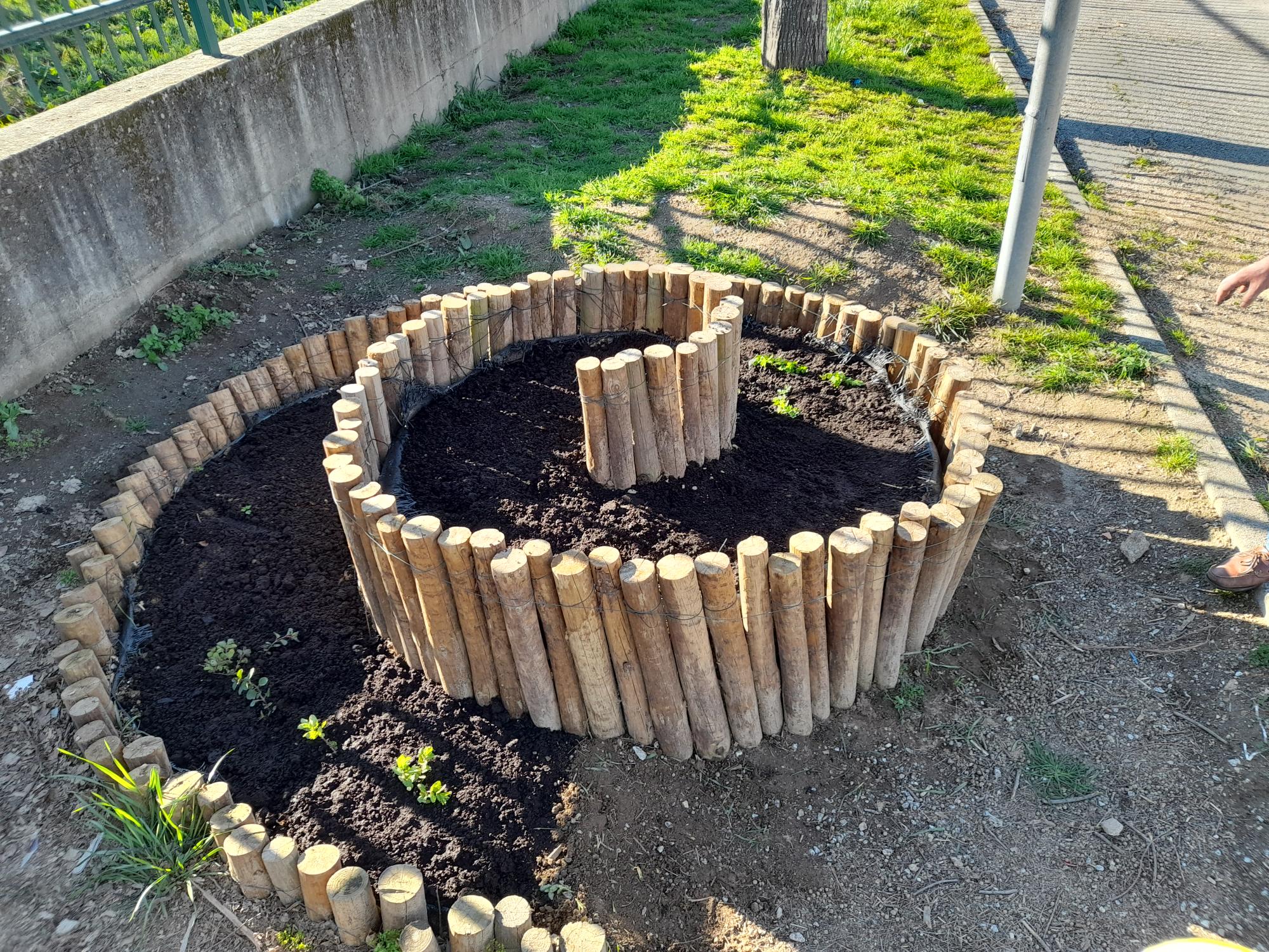 Aspeto final após plantação e sementeira.
Do centro para a periferia: orégãos, tomilho, coentros, salsa, cebolinho e hortelã.