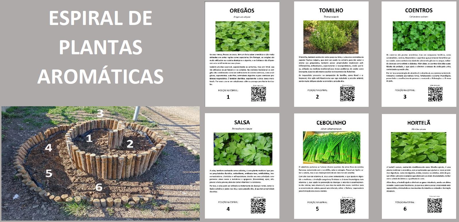 Horta após a sementeira e esquema da localização e distribuição das espécies vegetais. Os QRCodes ficam disponíveis num placar.