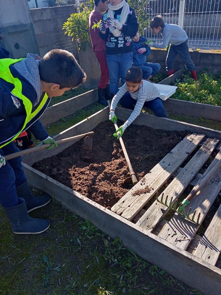 As crianças limparam e prepararam o terreno.