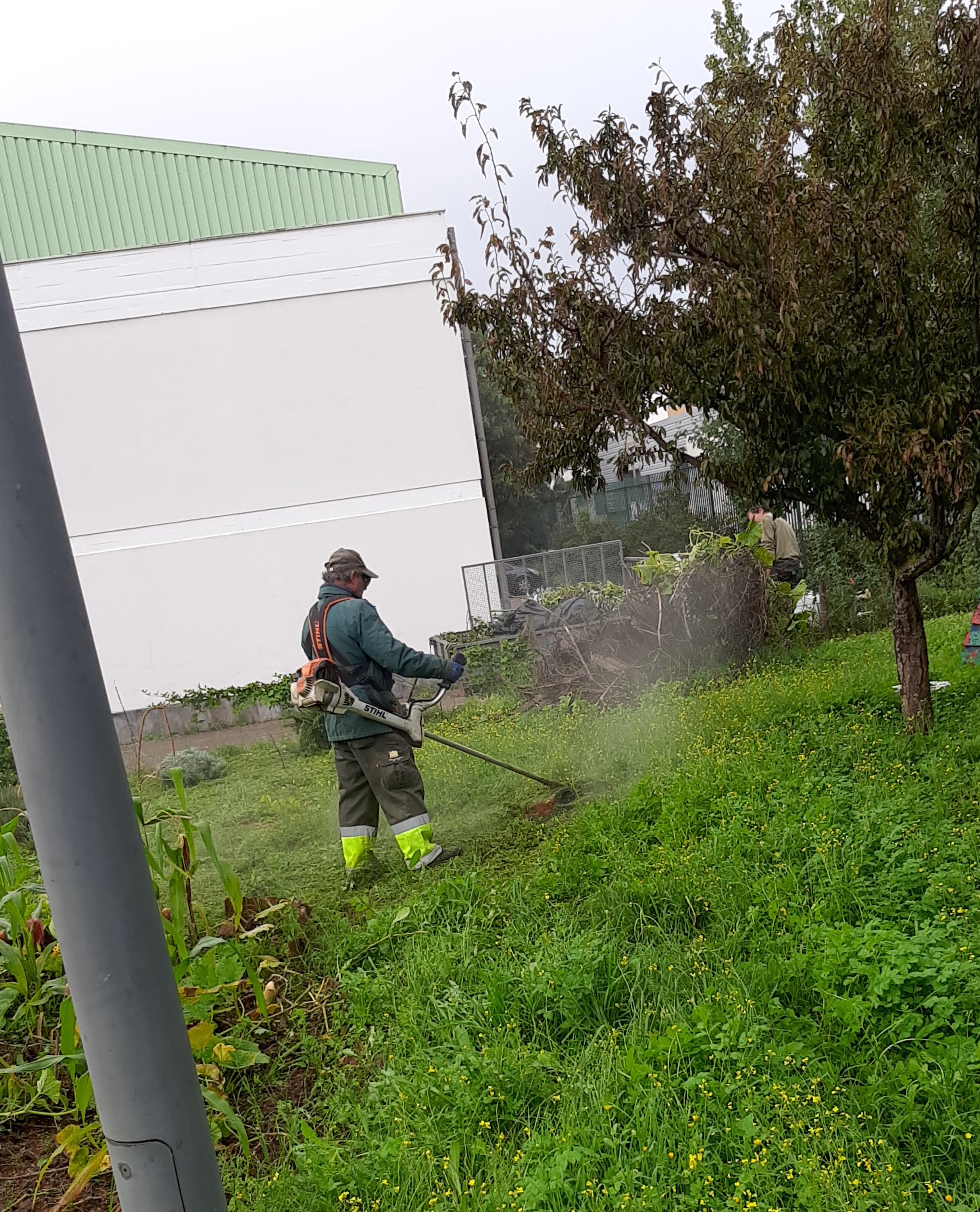 Trabalhos de preparação do terreno, este ano letivo executados tardiamente devido às condições de seca prolongada e depois às chuvas constantes durante os meses de novembro e dezembro.