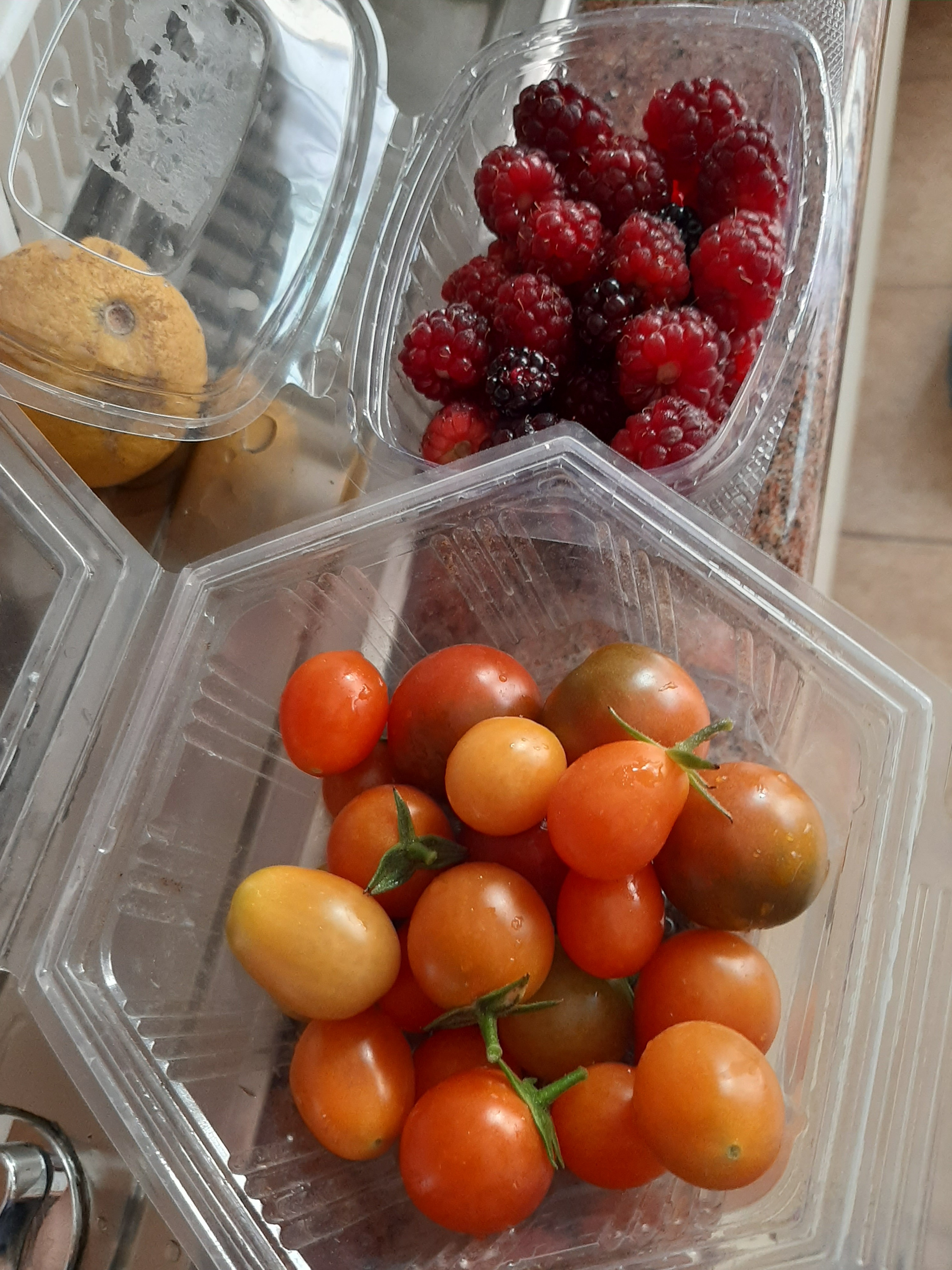 Colhem-se tomates e morangos