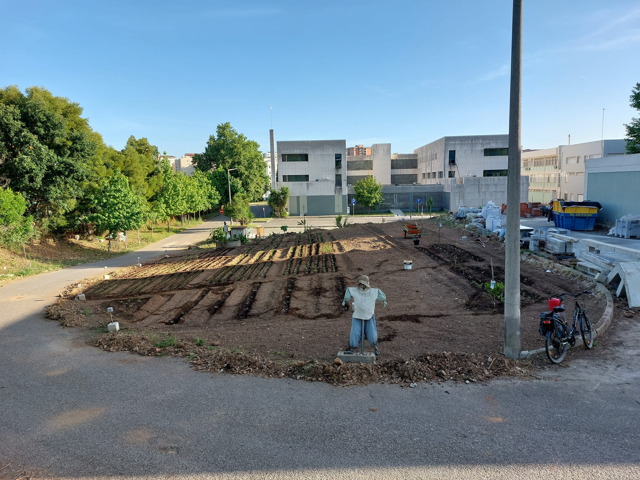 Resultado quase final da duplicação do espaço da horta, a menos da limpeza das pedras retiradas da horta e acumuladas na bermas.