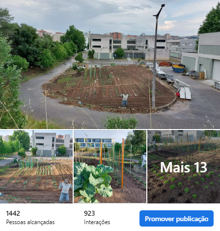 Panorâmica da Horta do ISEC: 535 m^2, 30 canteiros, 28 tipos de hortícolas e sementes plantadas, 1 mês de trabalho na limpeza do terreno e plantações.
