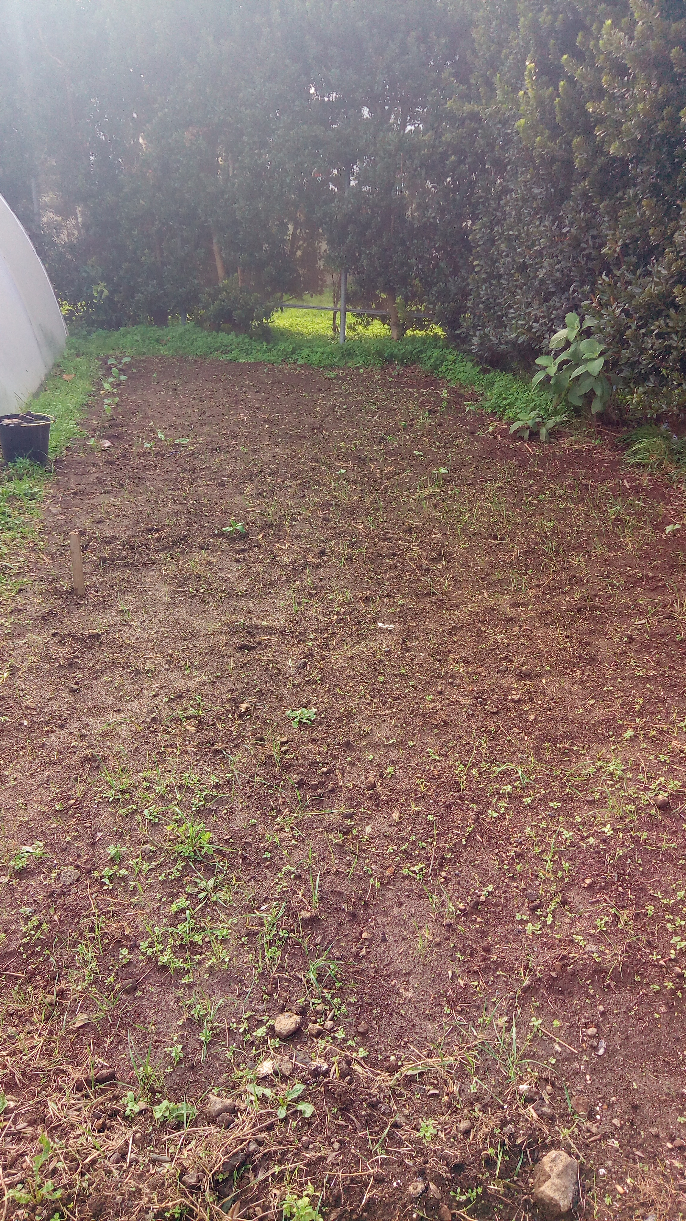 Limpeza do campo de trabalho.