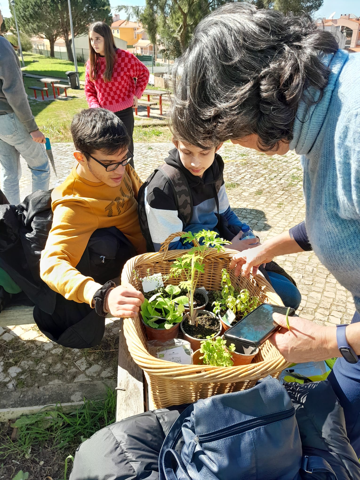 Plantações de Março