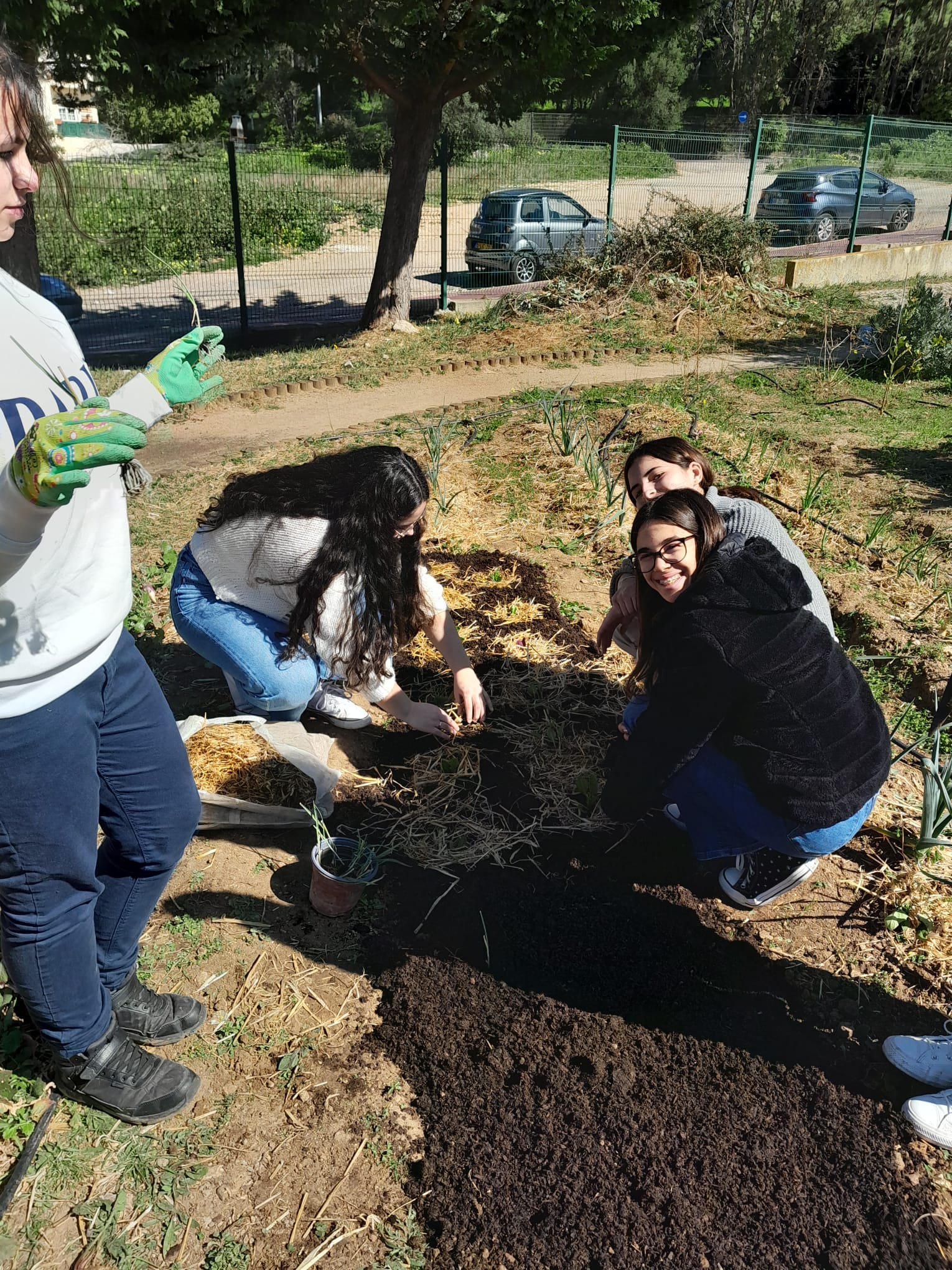 Plantações de Março