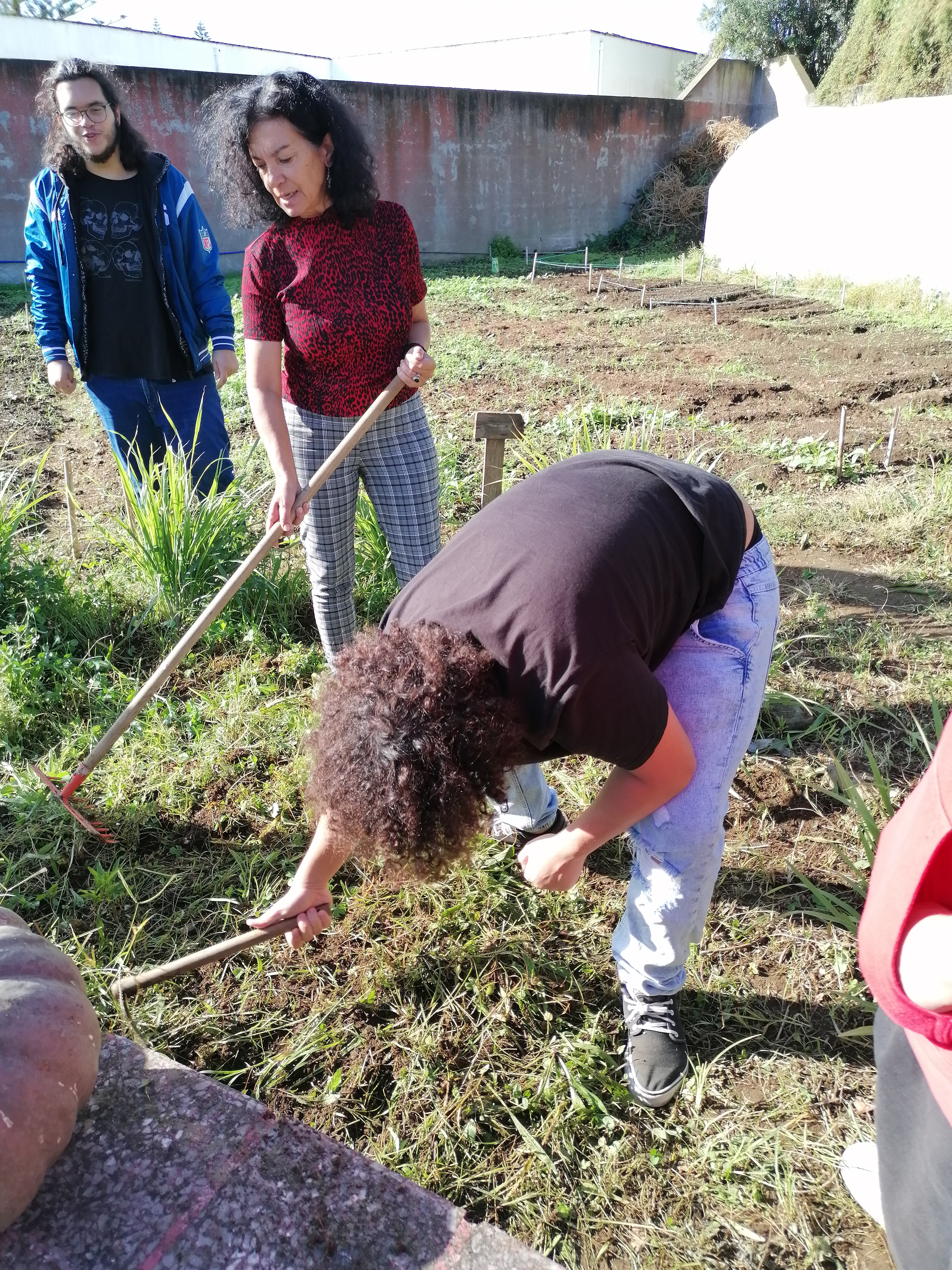 Limpeza de infestantes.