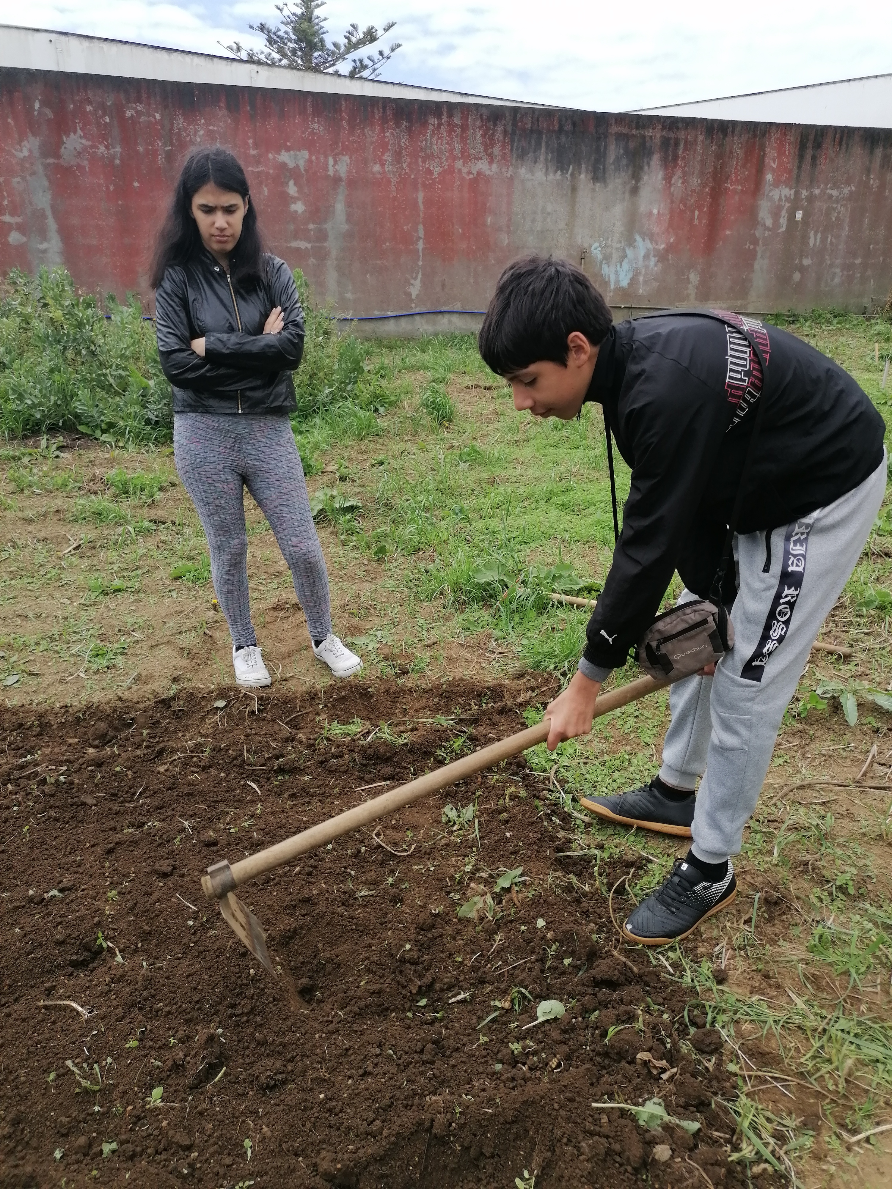 Tapar as sementes.