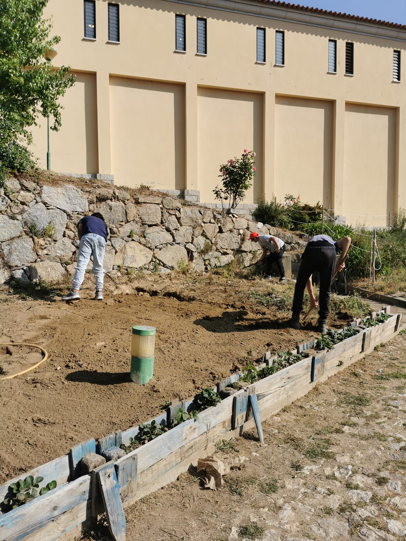 Lavragem e preparação da terra e cultivo com a colaboração dos alunos do ensino especial