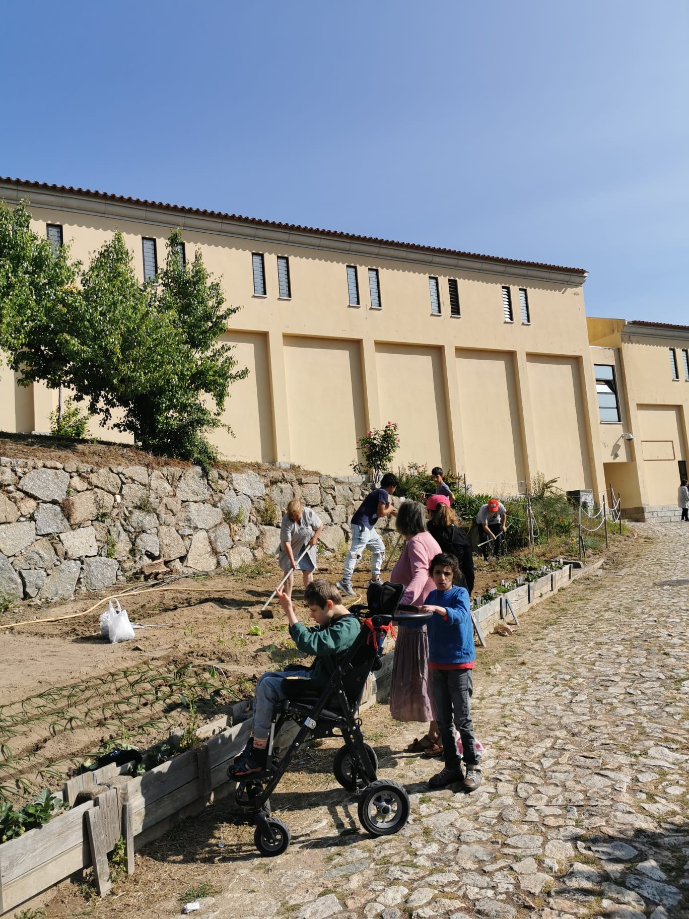 Lavragem e preparação da terra e cultivo com a colaboração dos alunos do ensino especial