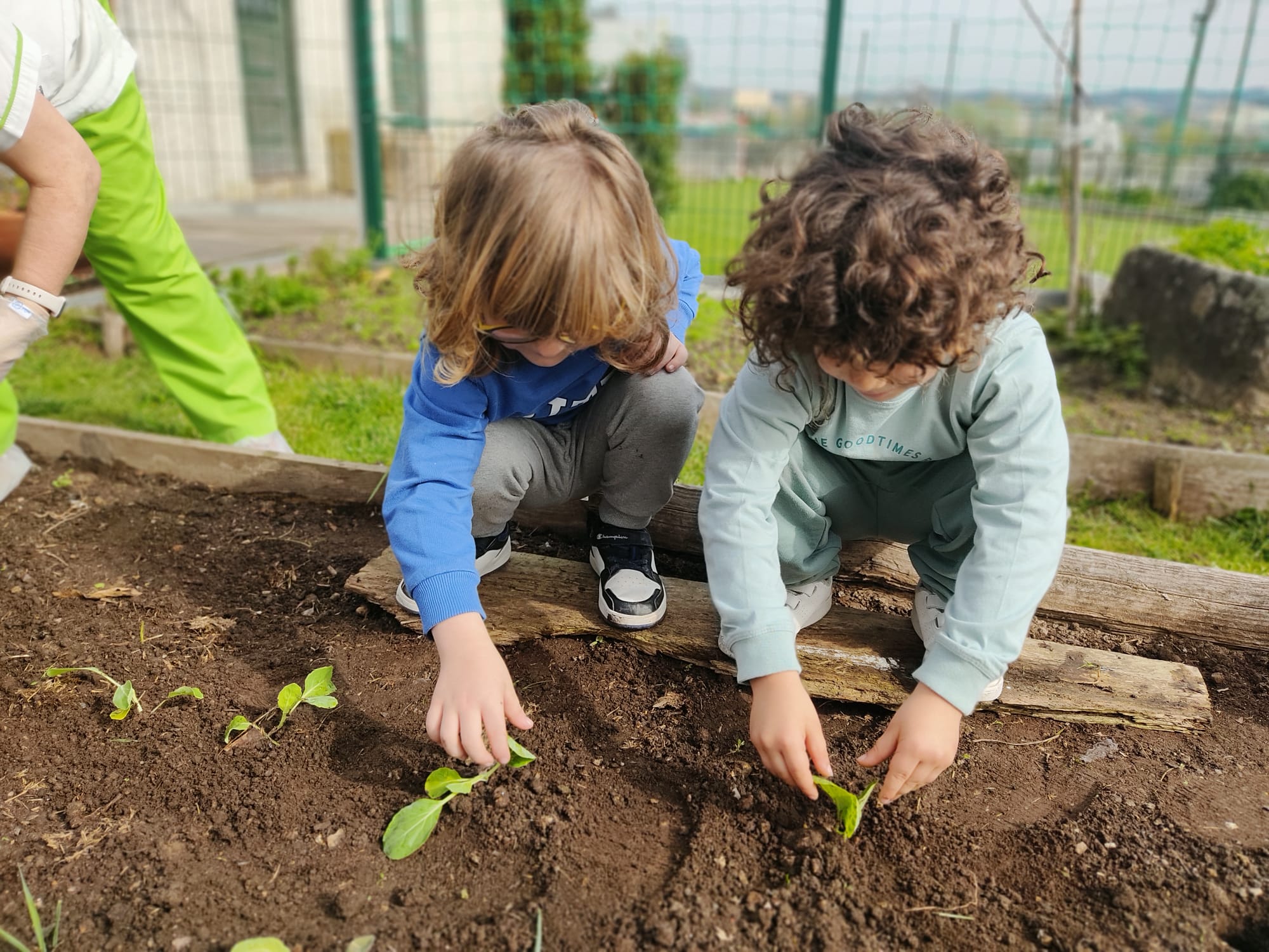 Plantações.