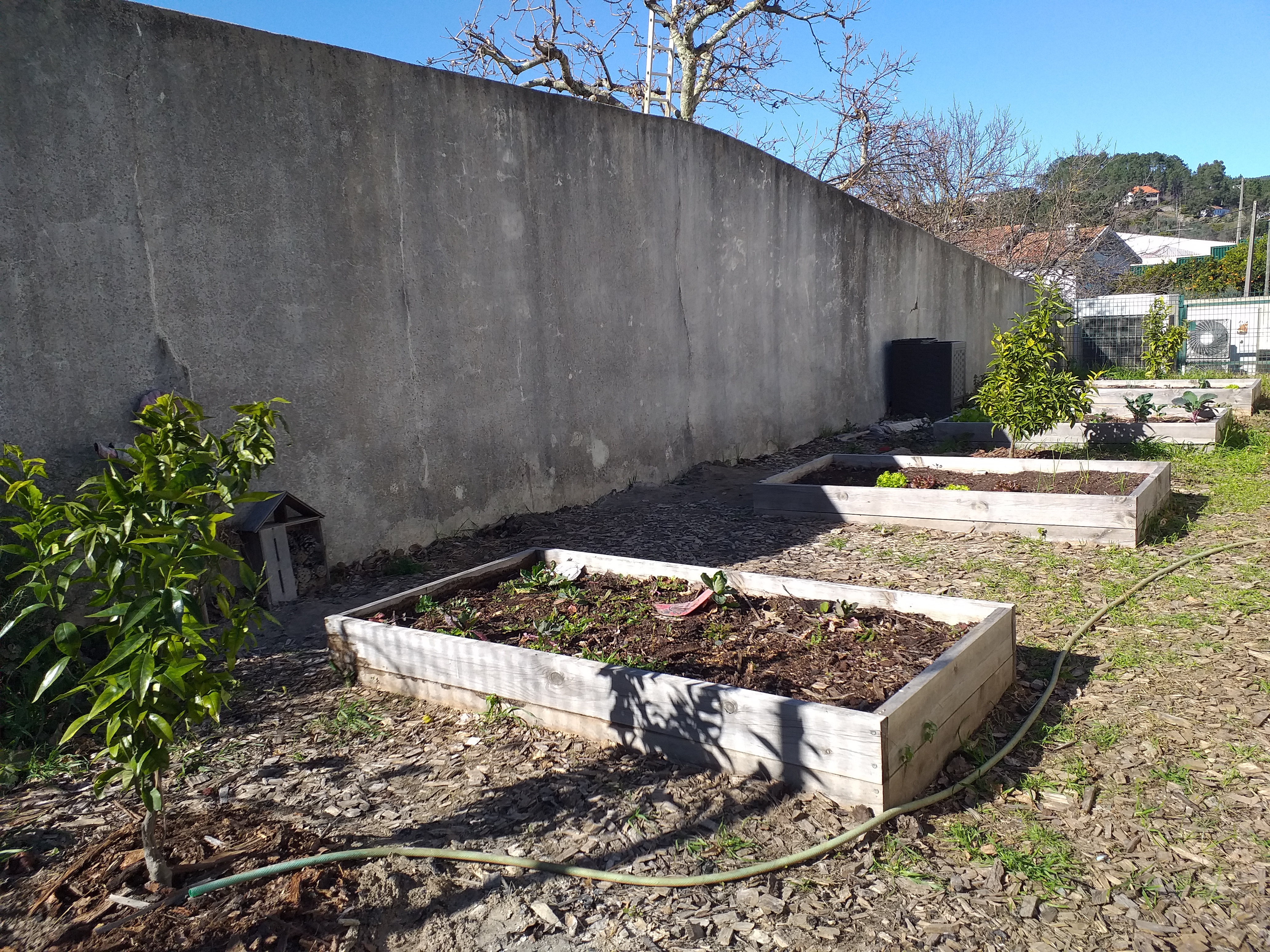 Panorâmica geral da horta, ainda não intervencionada.