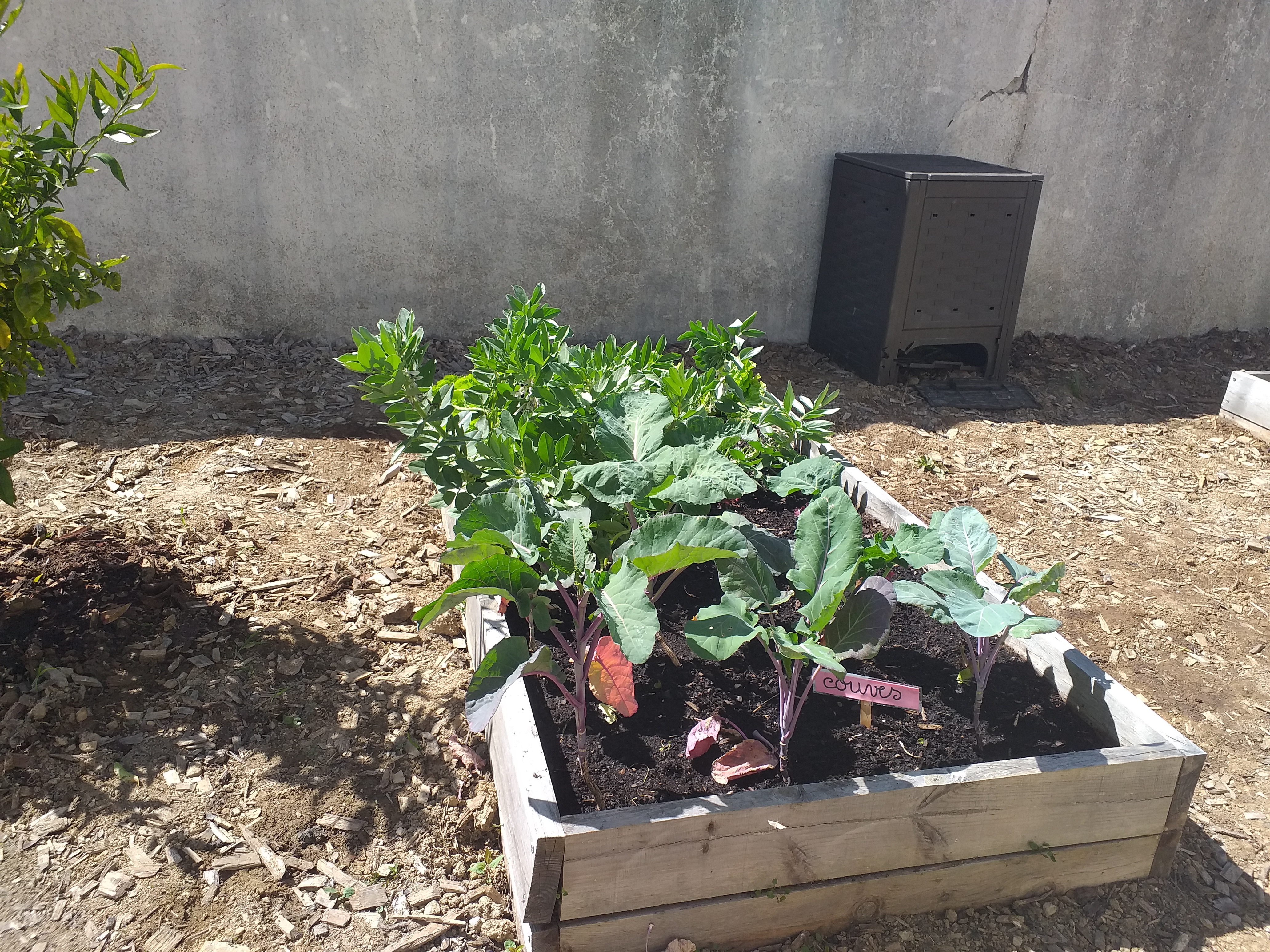 Canteiro das couves e favas; compostor