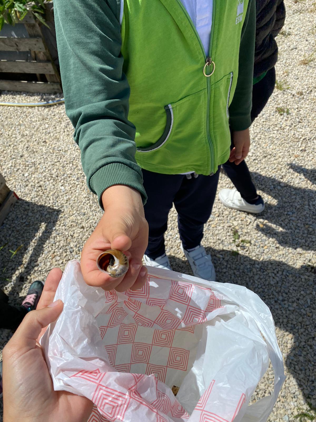 Cuidar, colher e cozinhar
