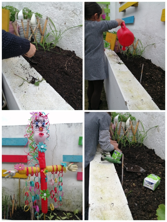 Mais tarde, preparou-se a terra da horta e transplantou-se o trigo e o milho. Também semeámos alfaces, cenouras ... 
Com garrafas de plástico fizemos um espantalho.