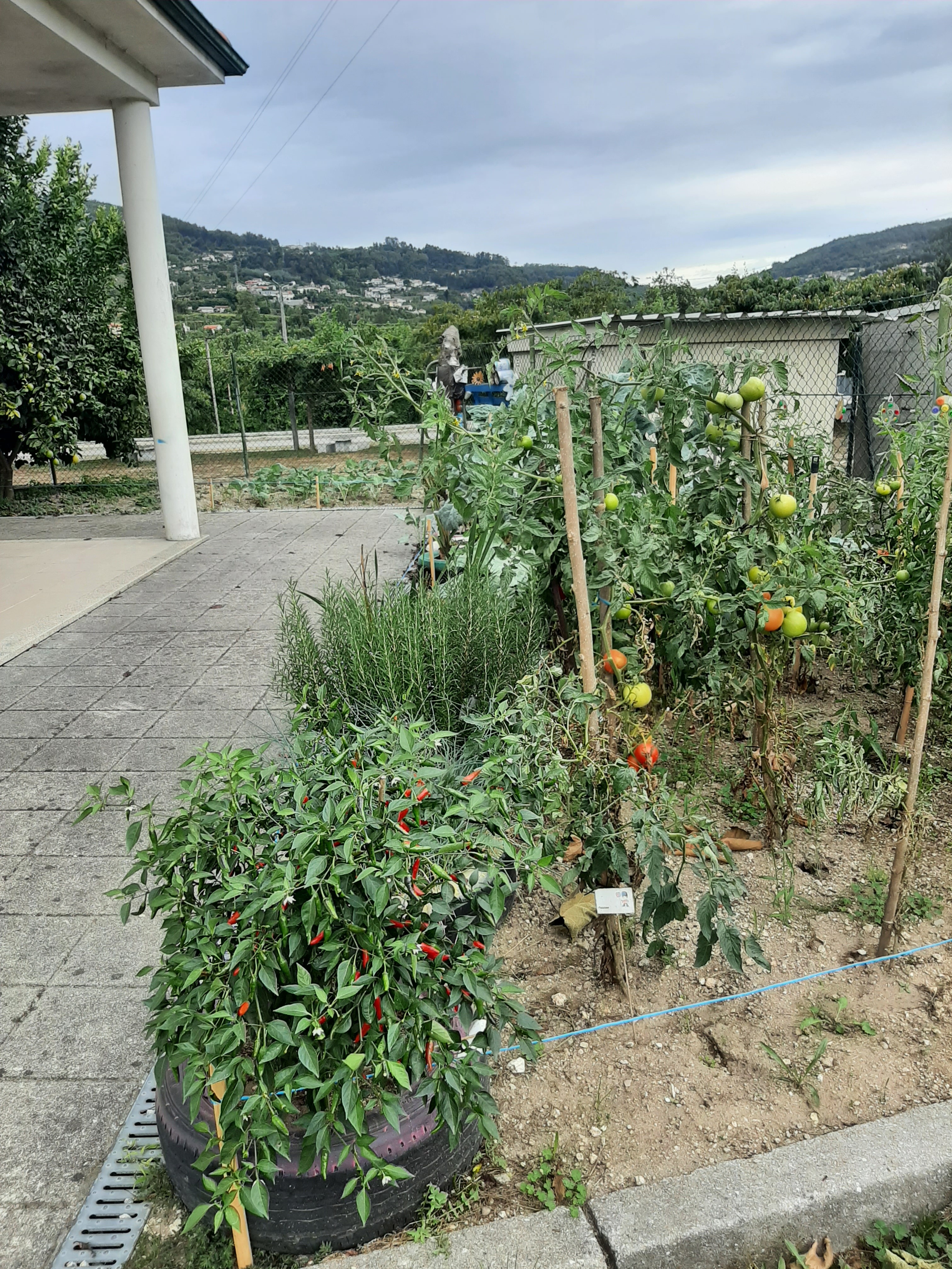 A horta no início do ano letivo