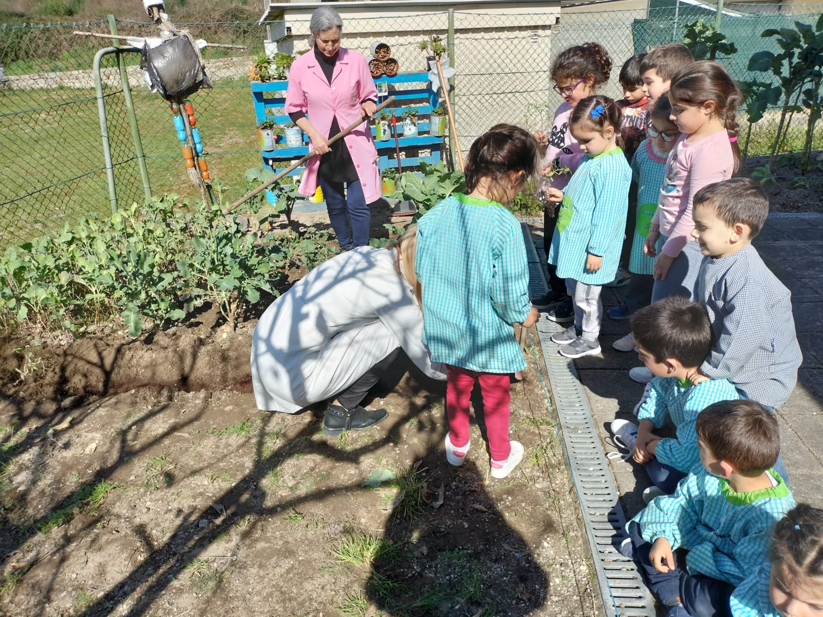 Comemoração do Dia do Ambiente, cuidado da horta e plantar tomates, pepinos e pimentos.