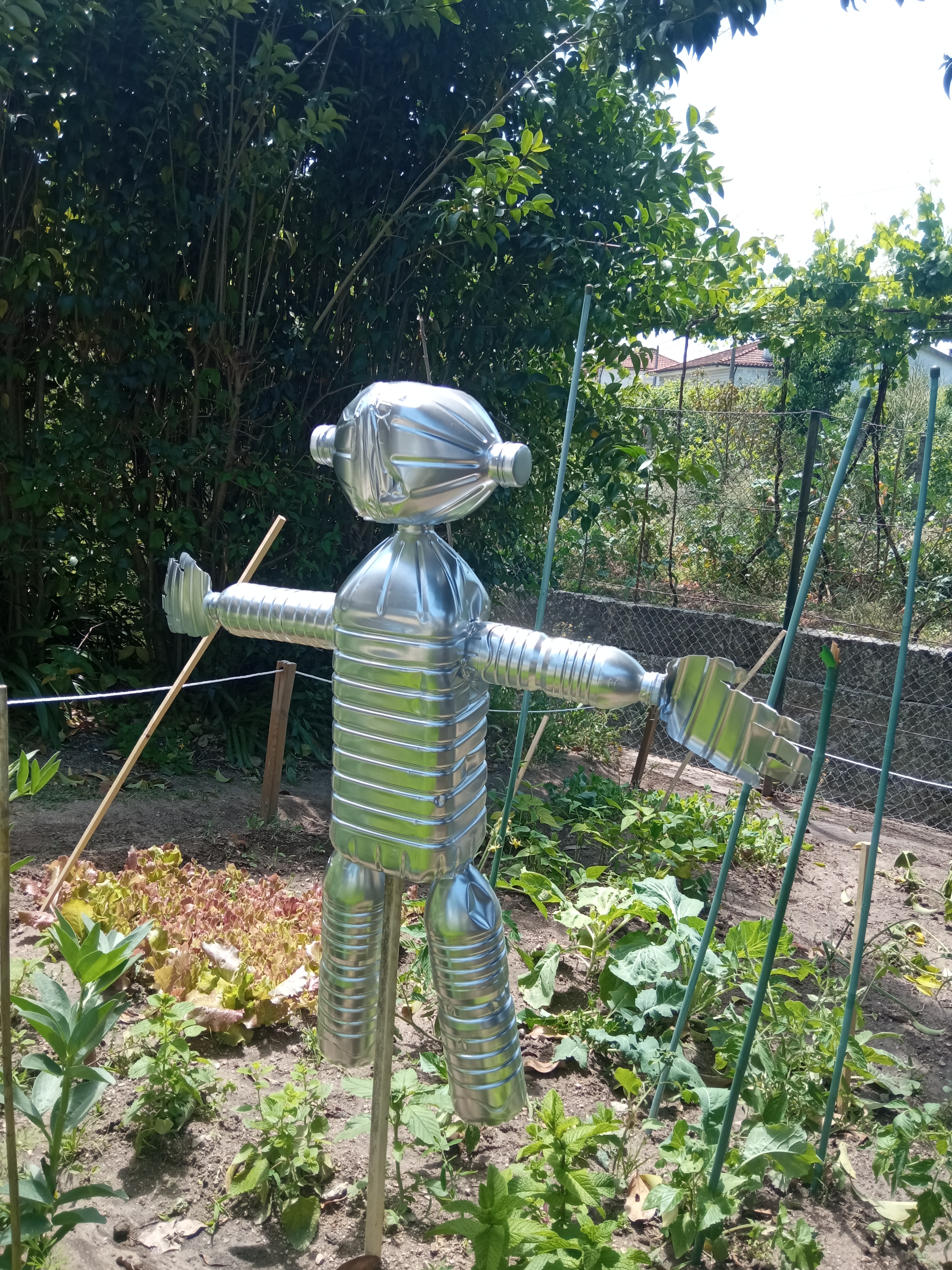 Colocação do espantalho, feito com garrafas recicladas, nas culturas.